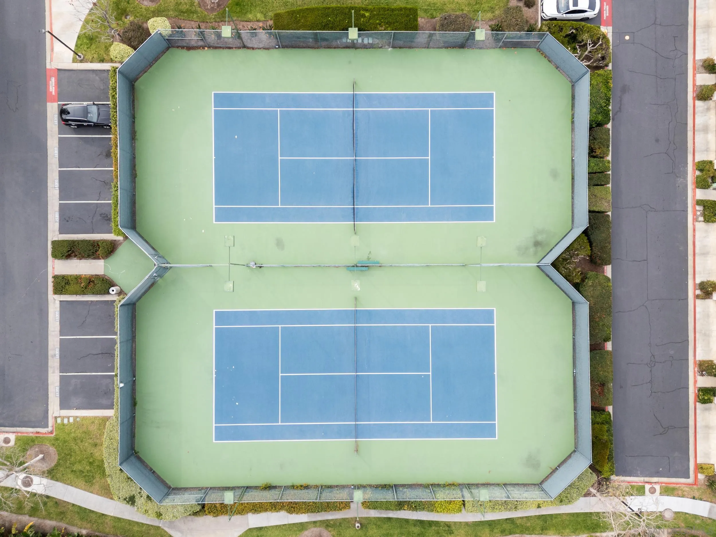 Photo #41: 250046264 Listing: Photo #41