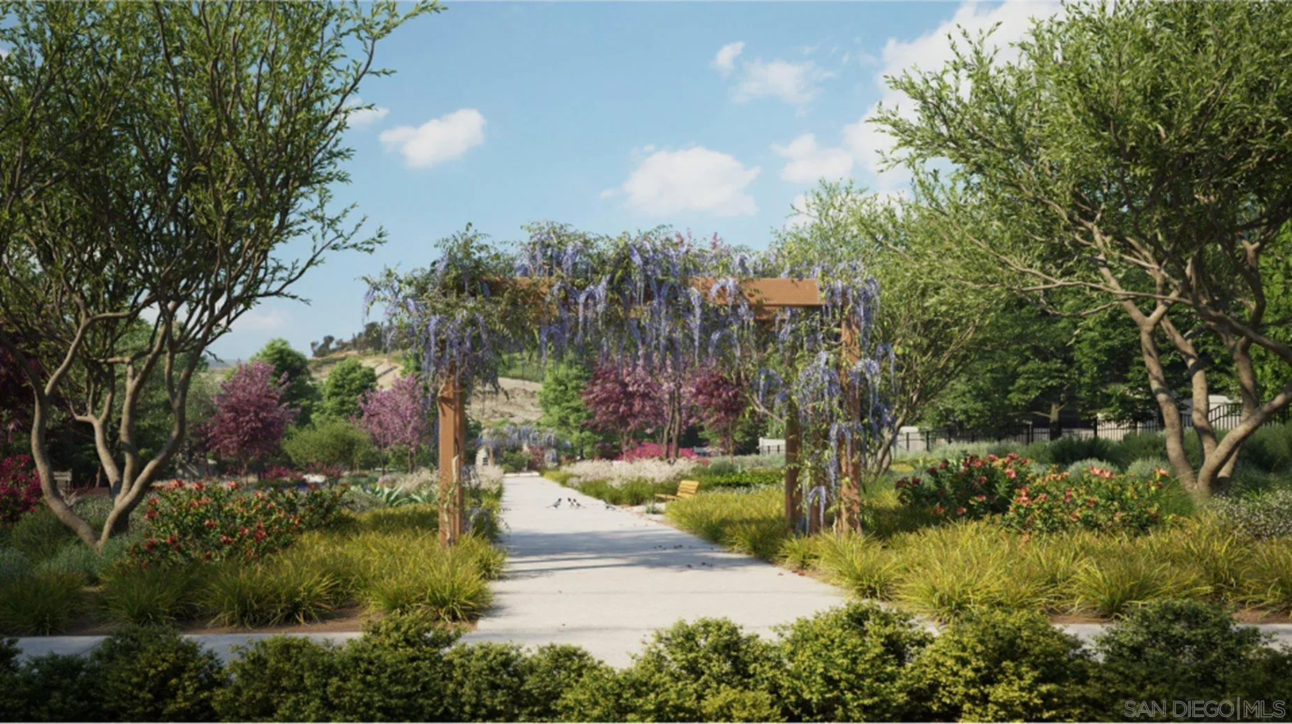 Photo #6: 250046277 Listing: Photo #6