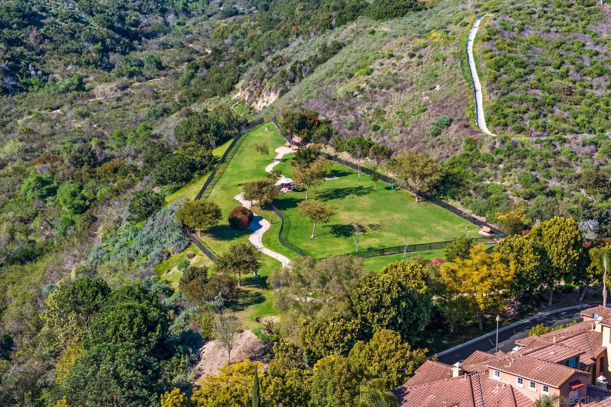 Photo #38: 250046296 Listing: Photo #38