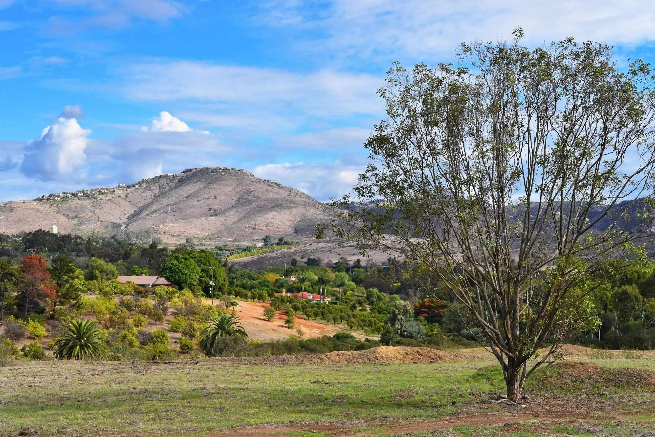 6710 El Montevideo, Rancho Santa Fe, CA, 92067
