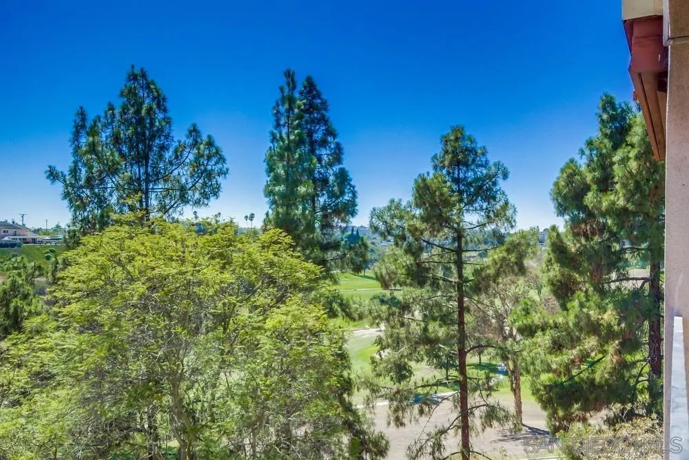 Photo #25: 250046399 Listing: Photo #25