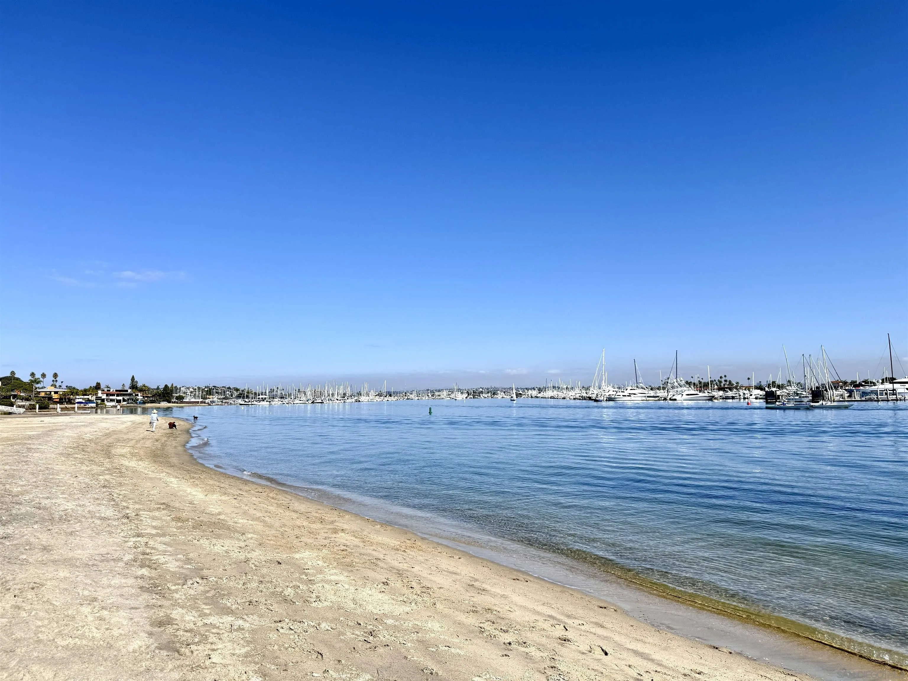 Photo #7: 260001348 Listing: Photo #7