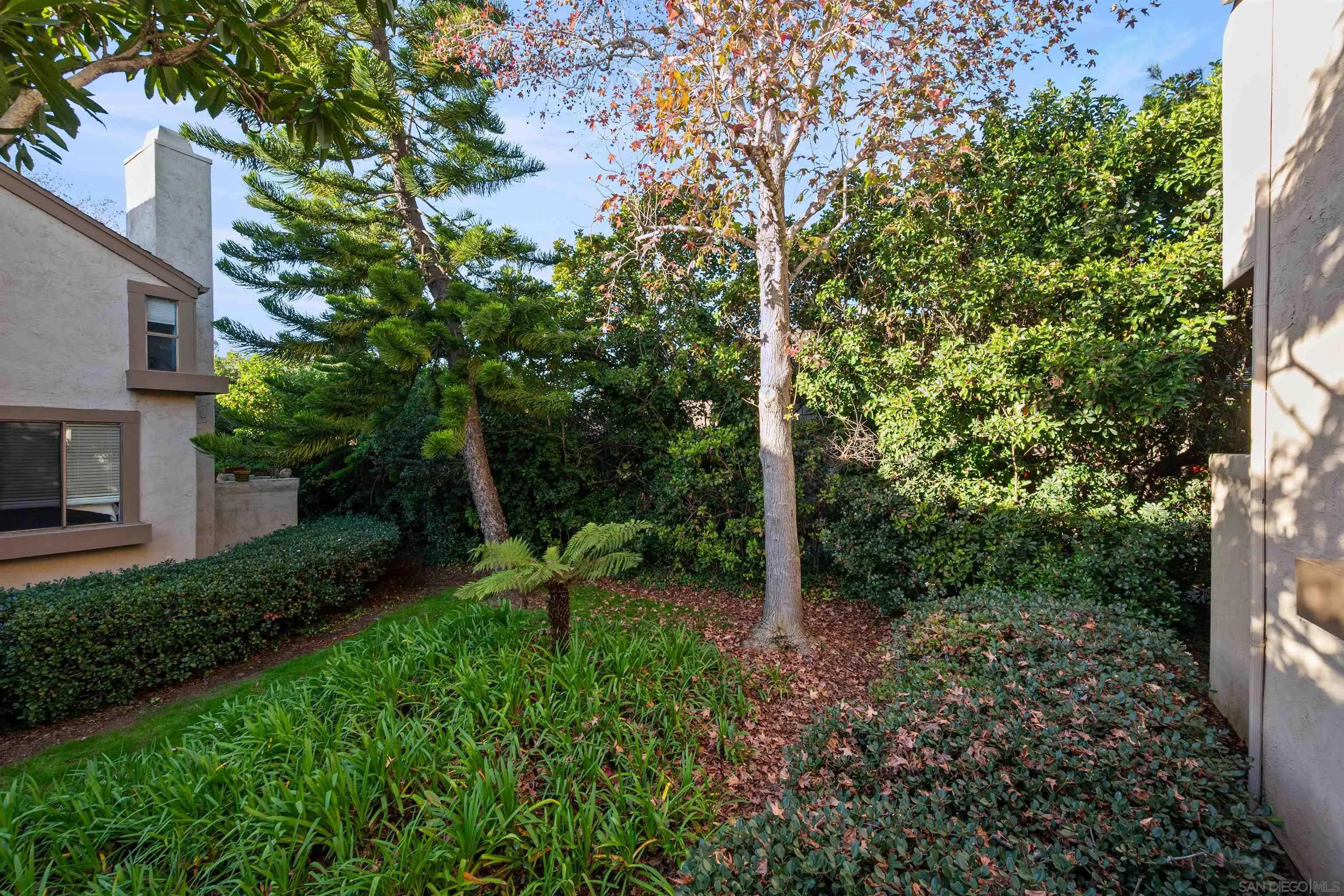 Photo #37: 260001353 Listing: Photo #37