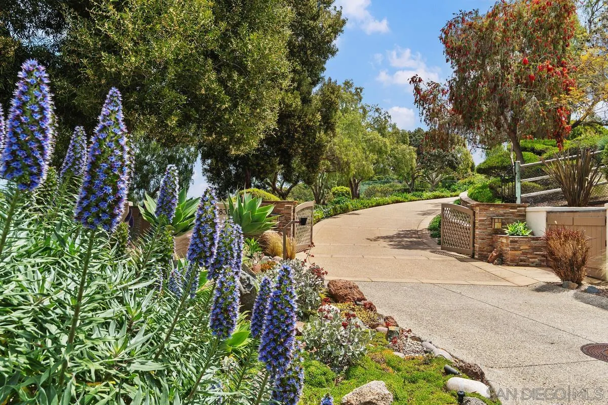 18383 Colina Fuerte, Rancho Santa Fe, CA, 92067