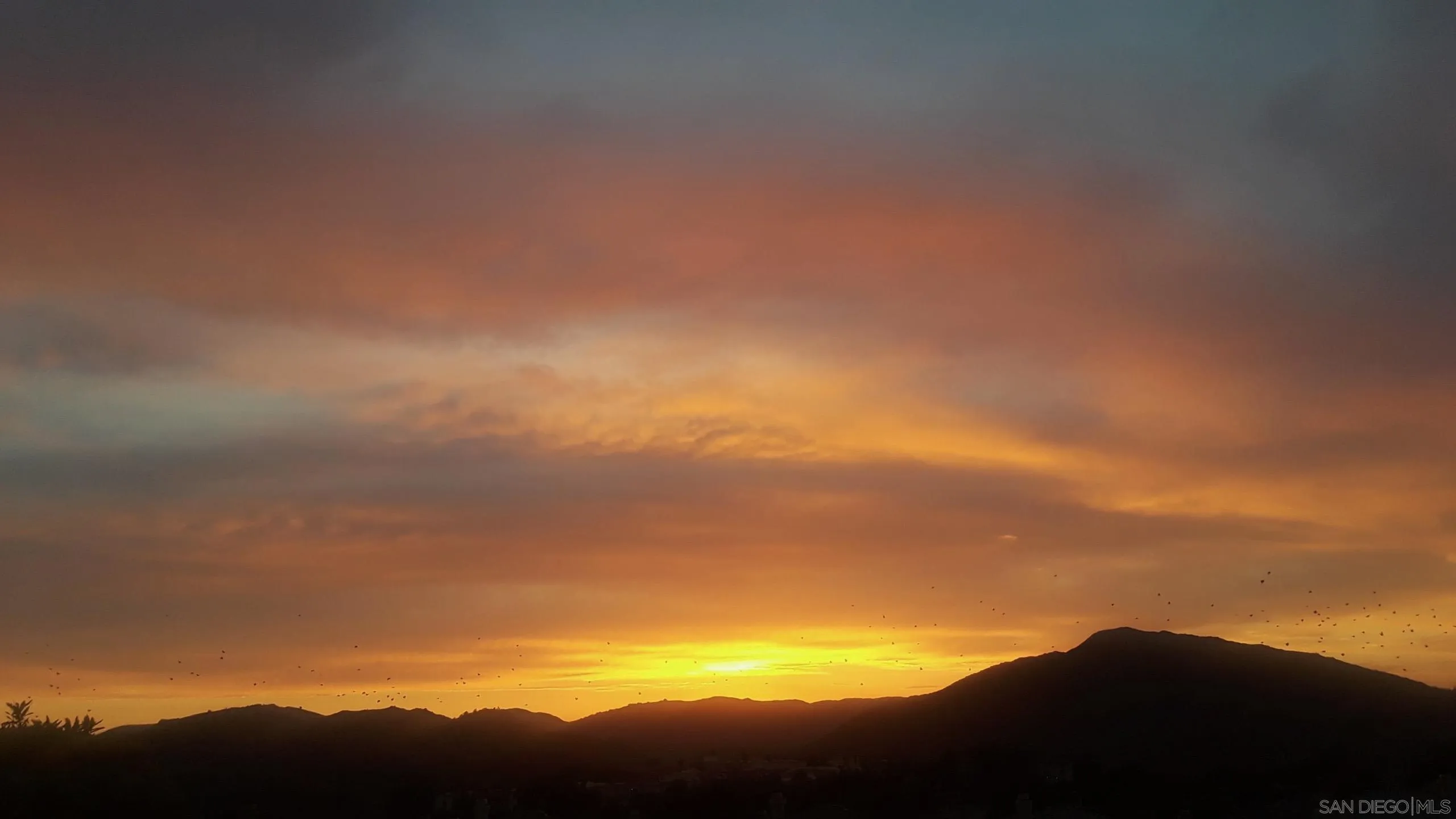 Photo #5: 260001397 Listing: Photo #5