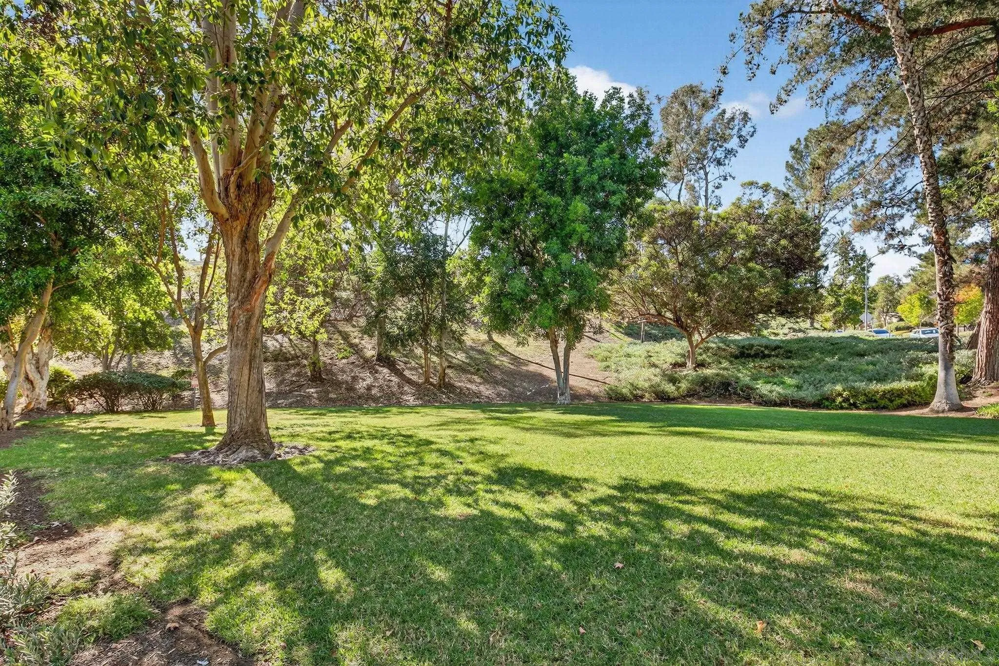 Photo #38: 260001659 Listing: Photo #38