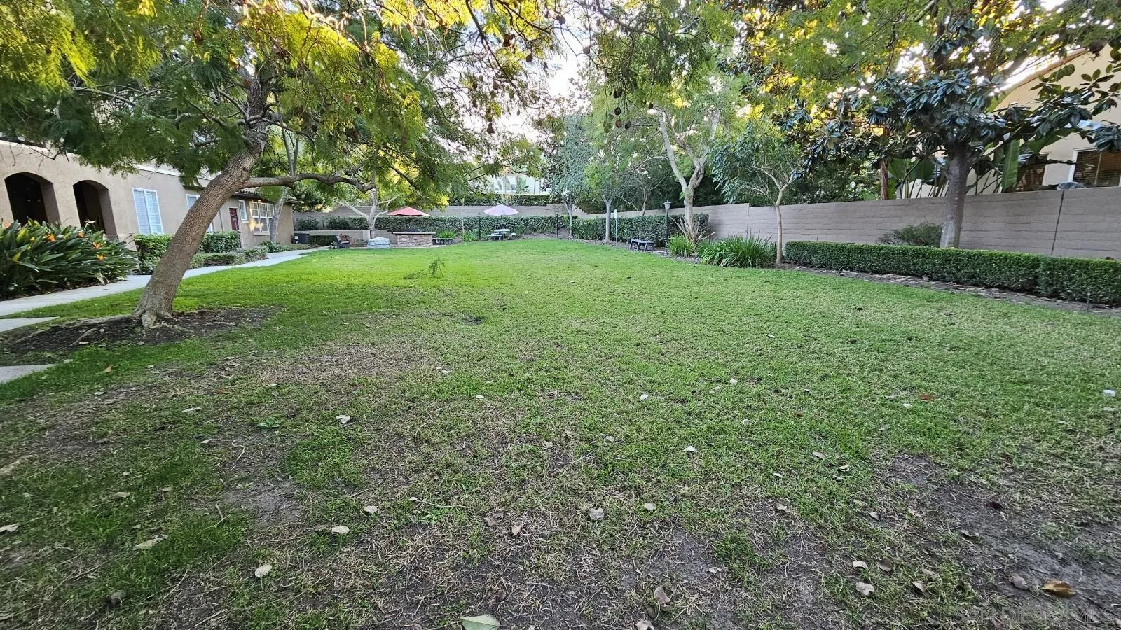 Photo #17: 260001947 Listing: Photo #17