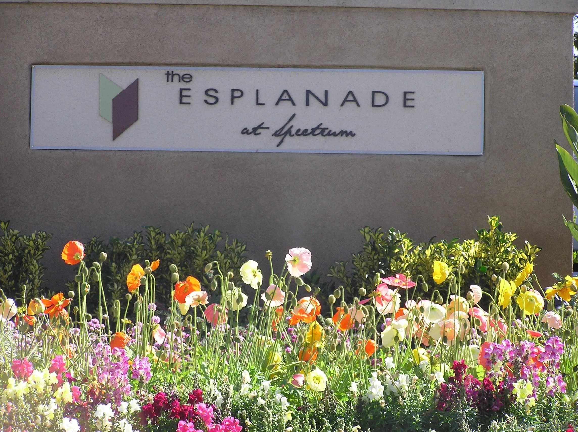 Photo #25: 260001963 Listing: Photo #25