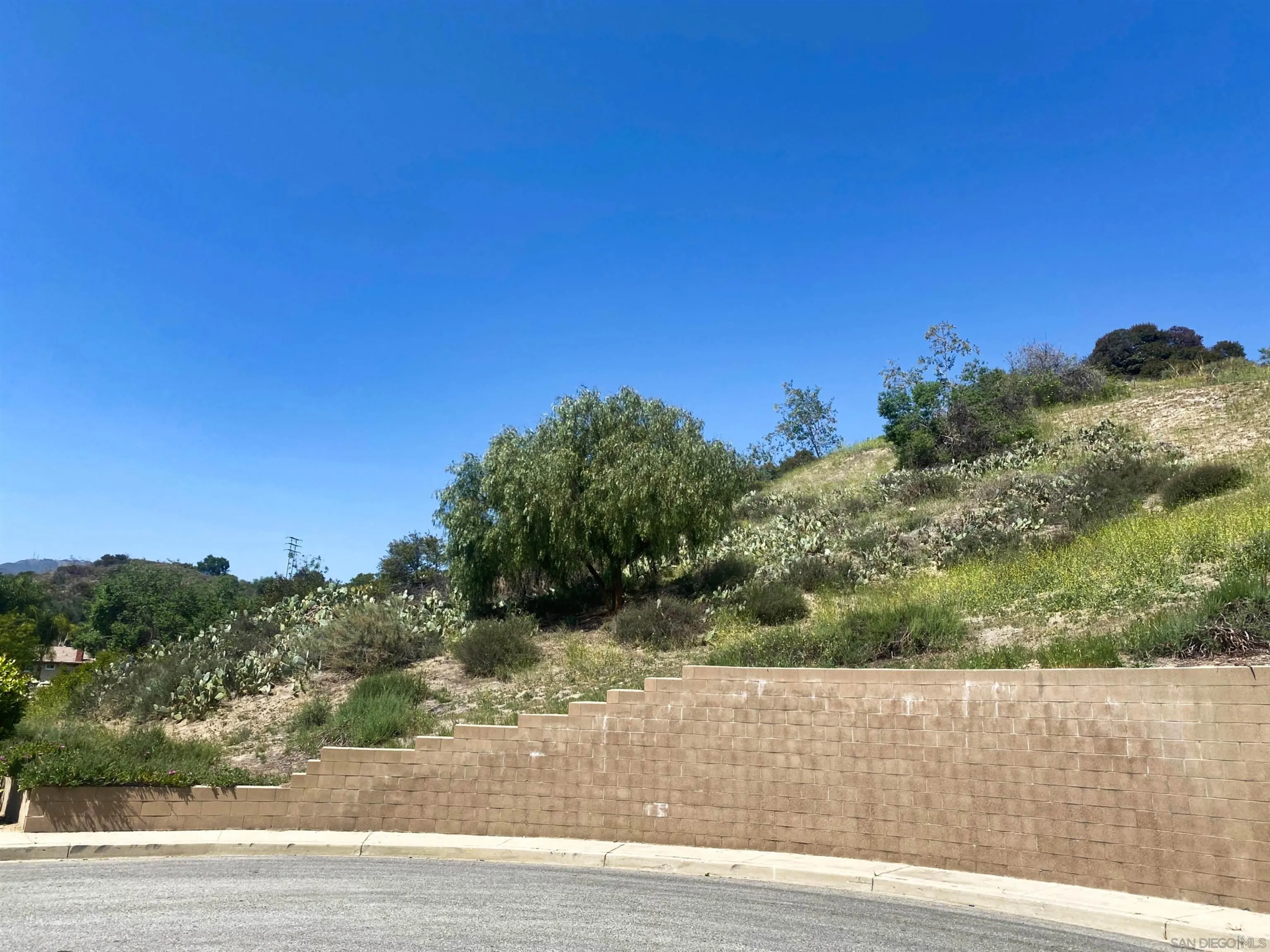 15 Yucca Ct 15