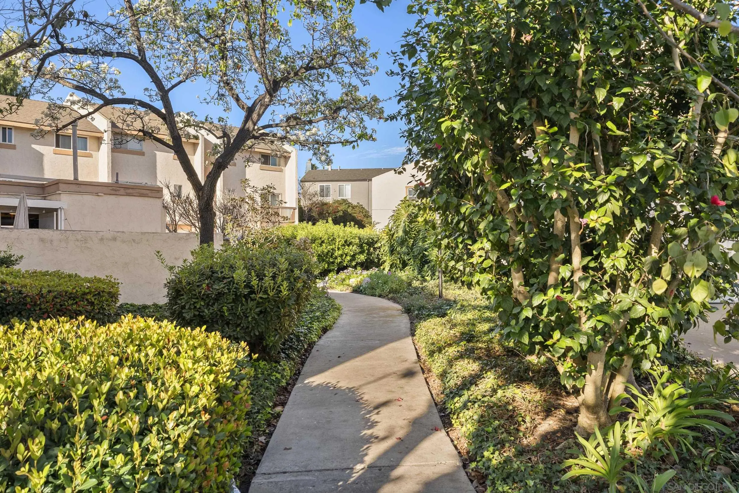 Photo #33: 260002019 Listing: Photo #33