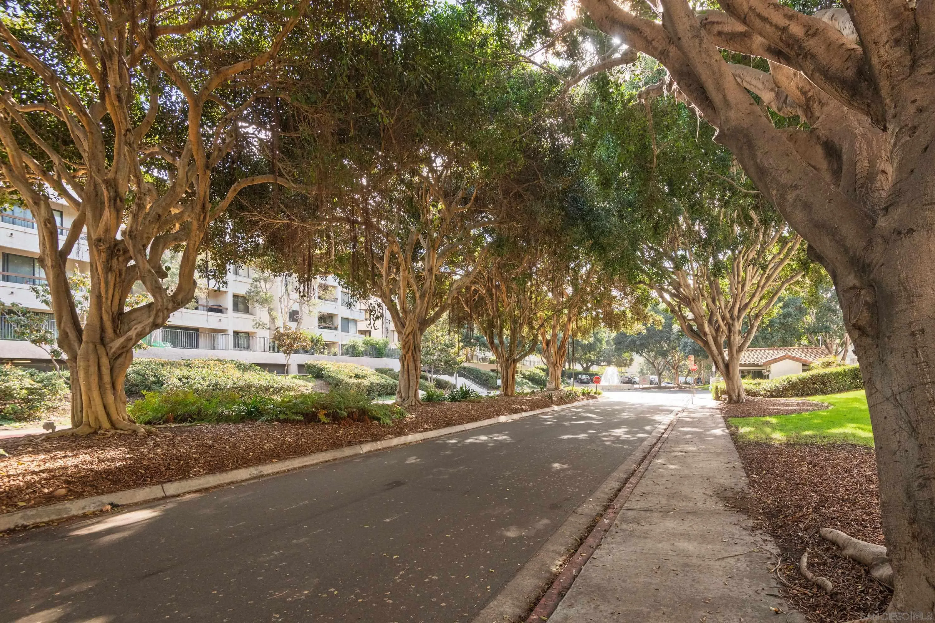 Photo #29: 260002022 Listing: Photo #29