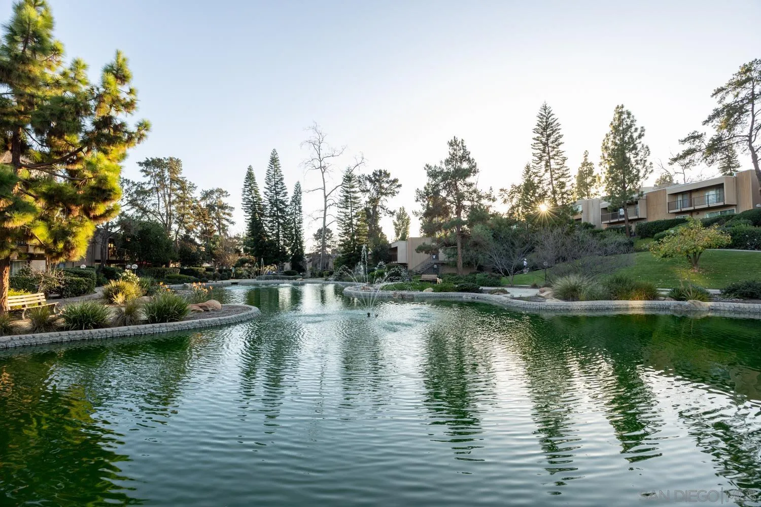 Photo #48: 260002095 Listing: Photo #48