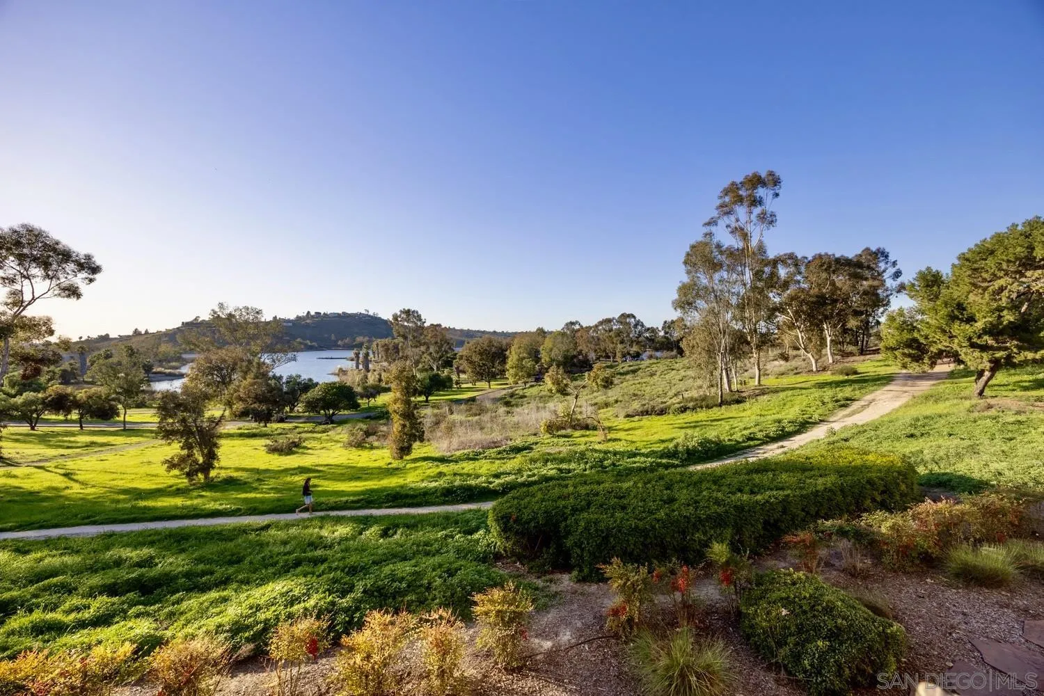 Photo #25: 260002095 Listing: Photo #25