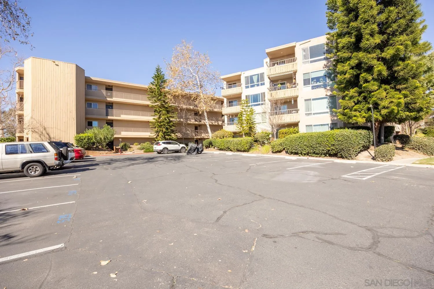 Photo #31: 260002095 Listing: Photo #31