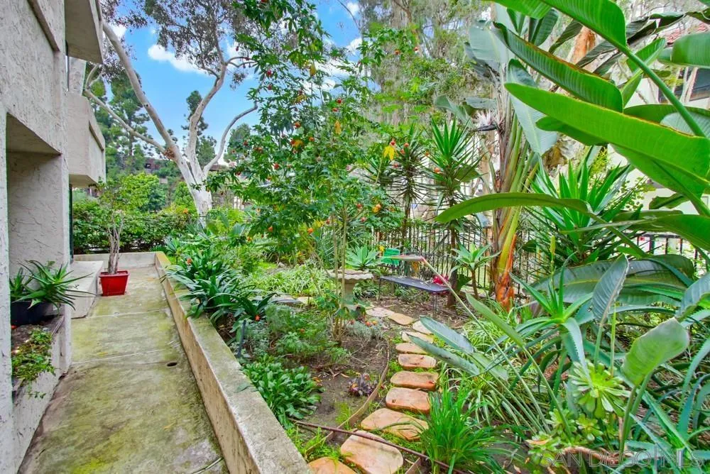 Photo #11: 260002115 Listing: Photo #11