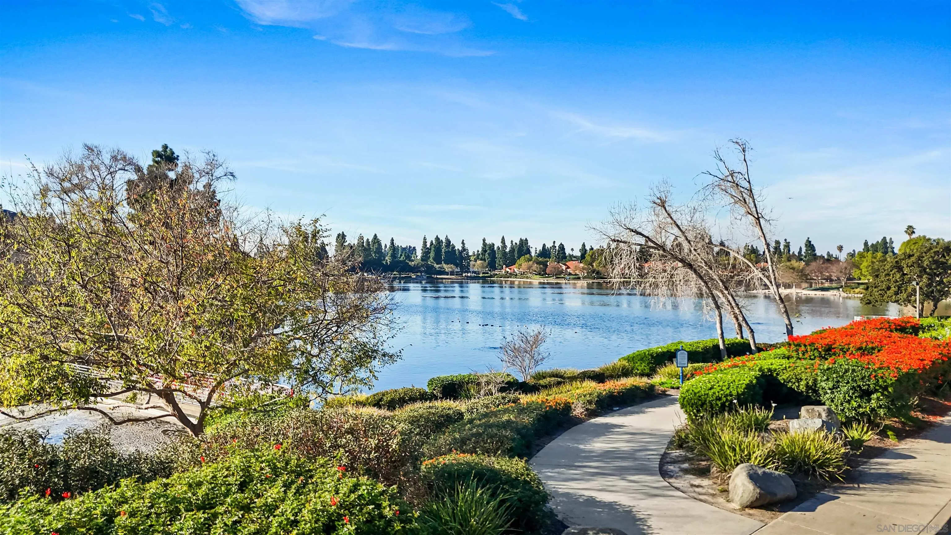 Photo #19: 260002245 Listing: Photo #19