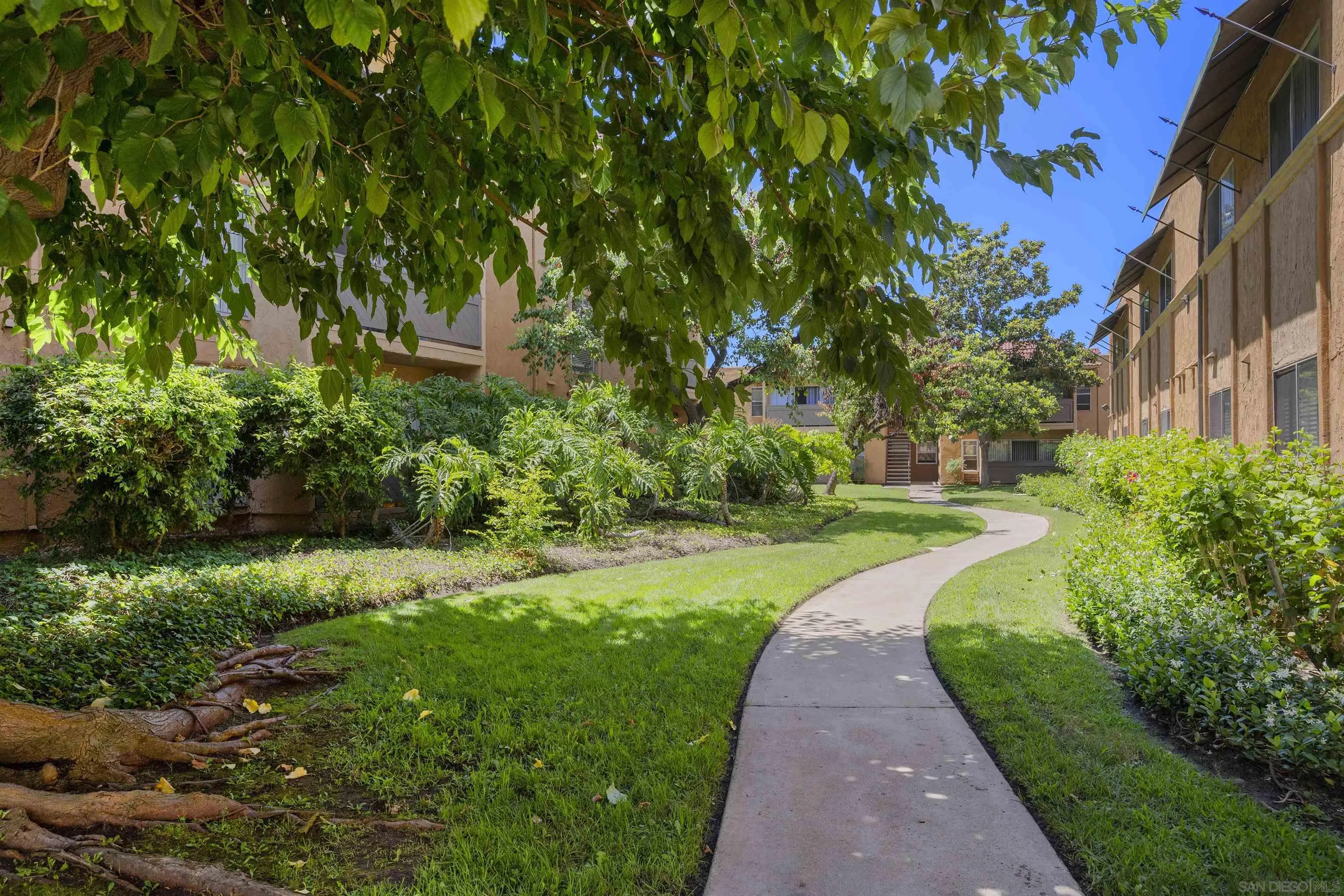 Photo #49: 260002268 Listing: Photo #49