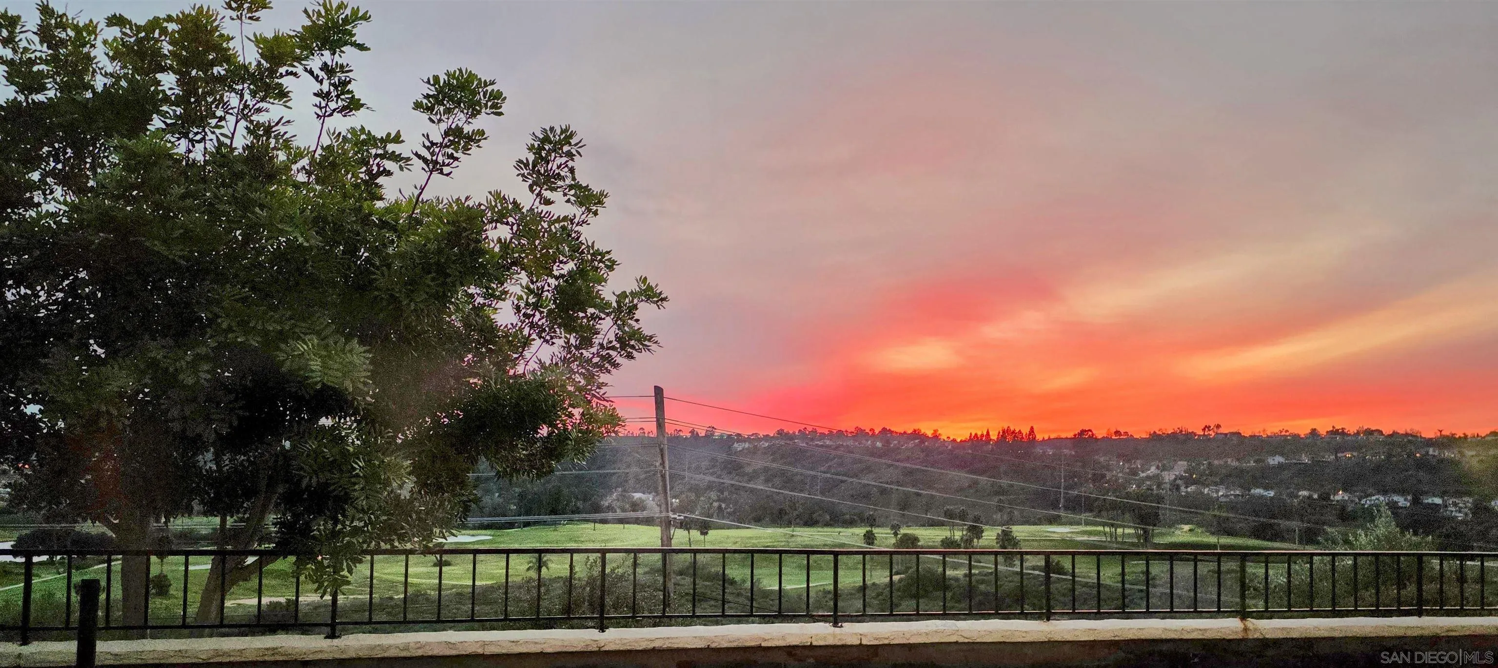 Photo #4: 260002365 Listing: Photo #4