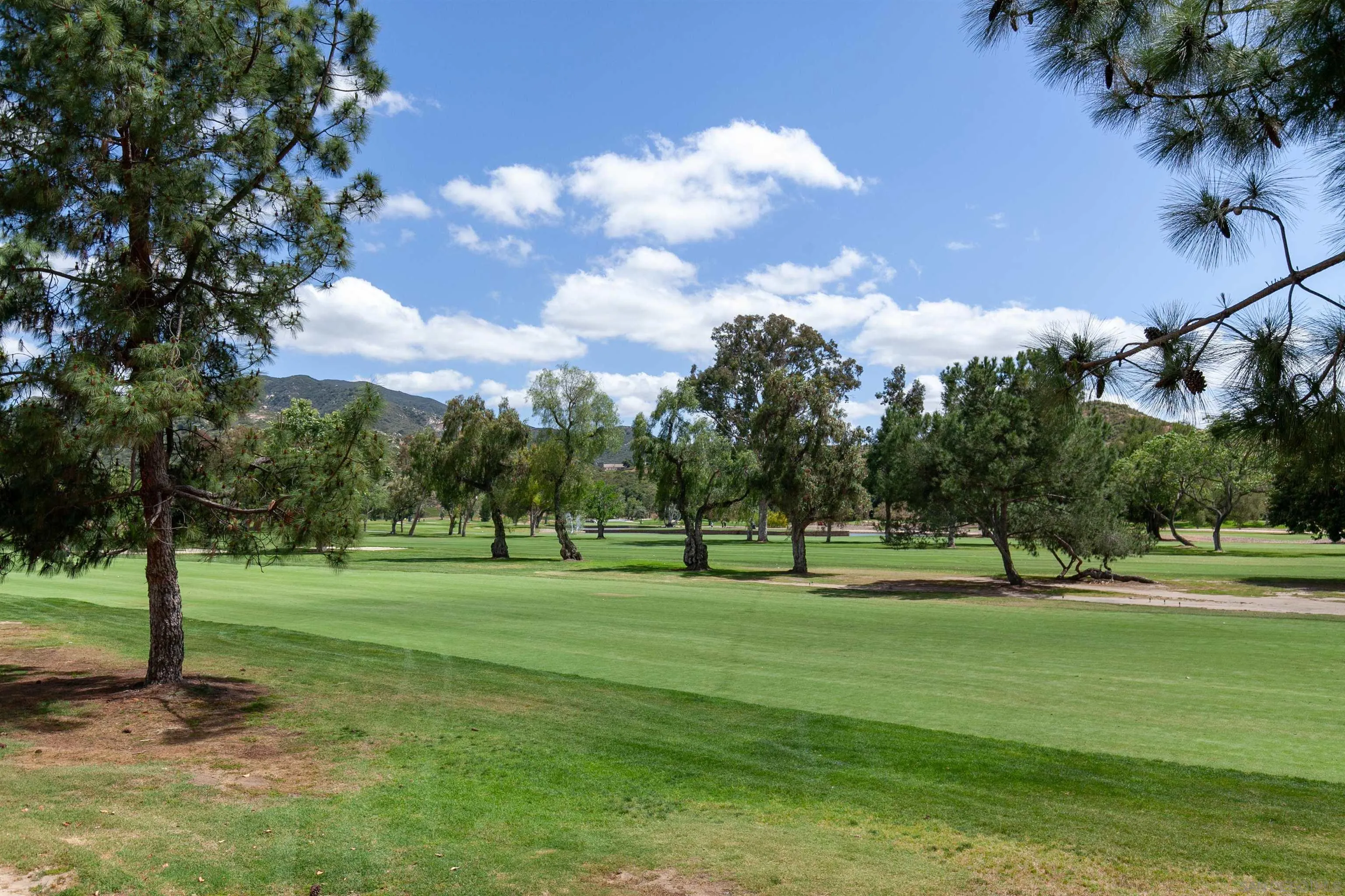 Photo #37: 260002481 Listing: Photo #37