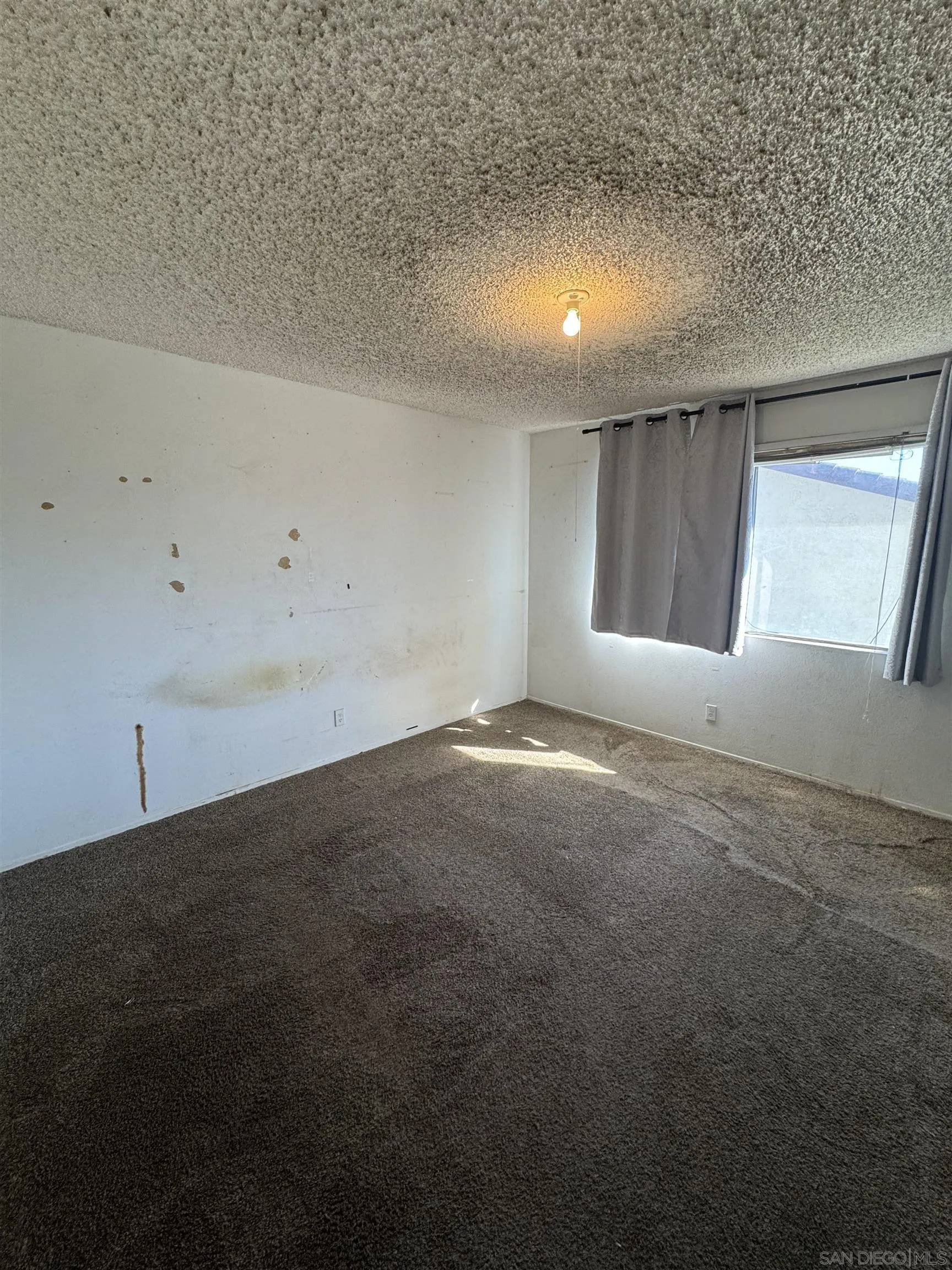 Photo #17: 260002747 Listing: Photo #17