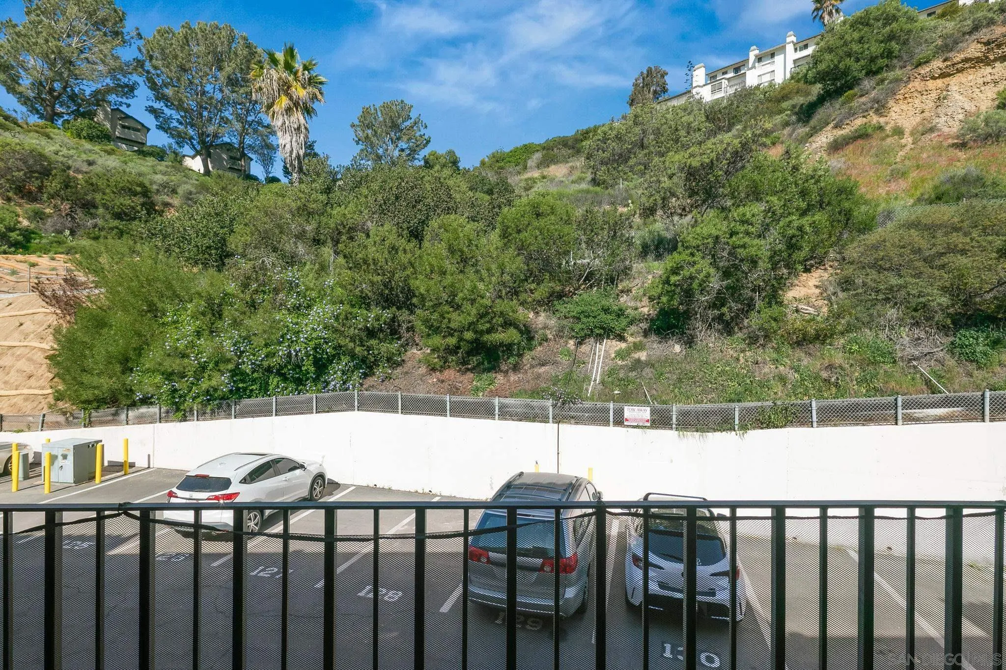 Photo #11: 260002759 Listing: Photo #11