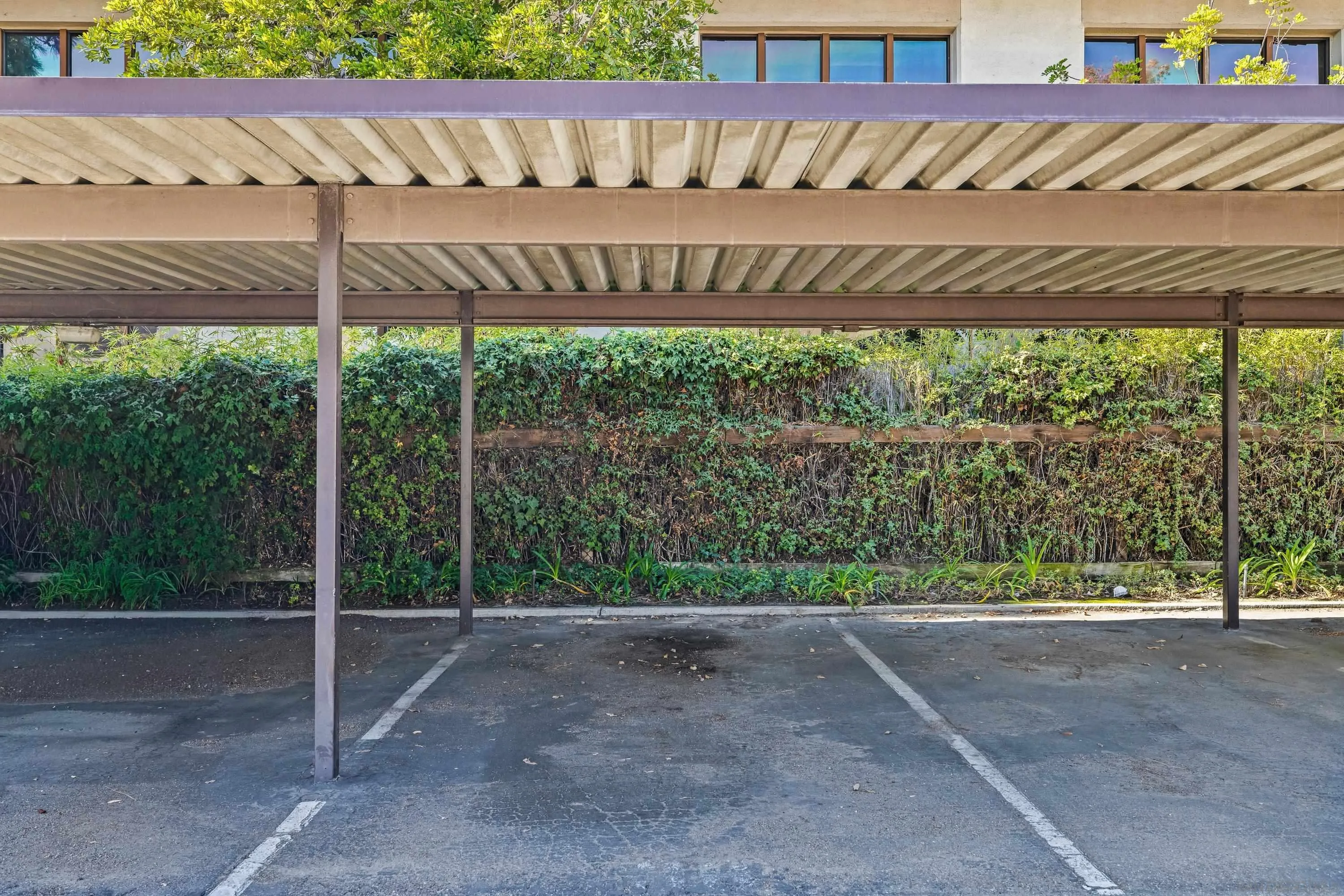 Photo #18: 260002864 Listing: Photo #18