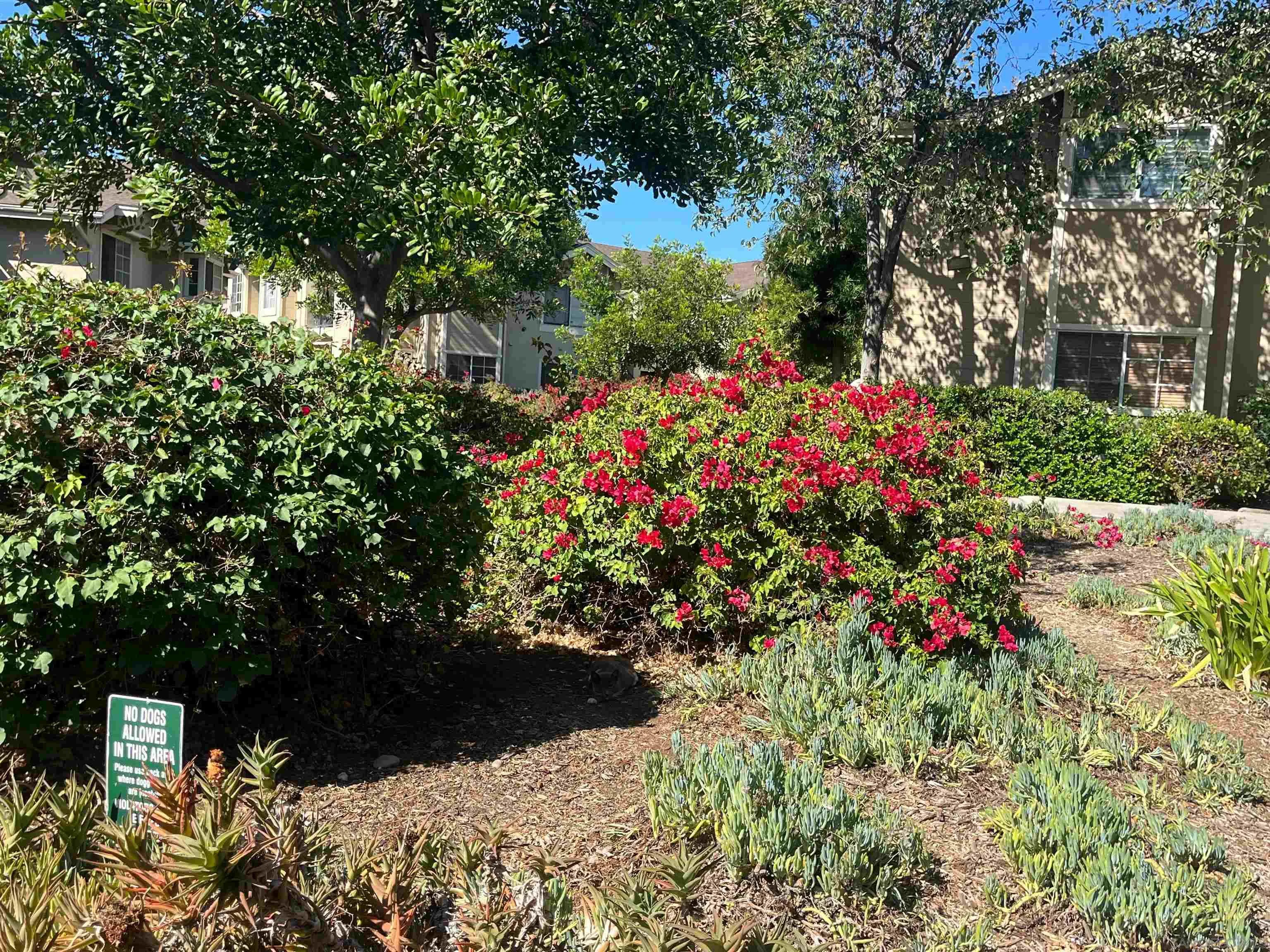 Photo #22: 260002882 Listing: Photo #22