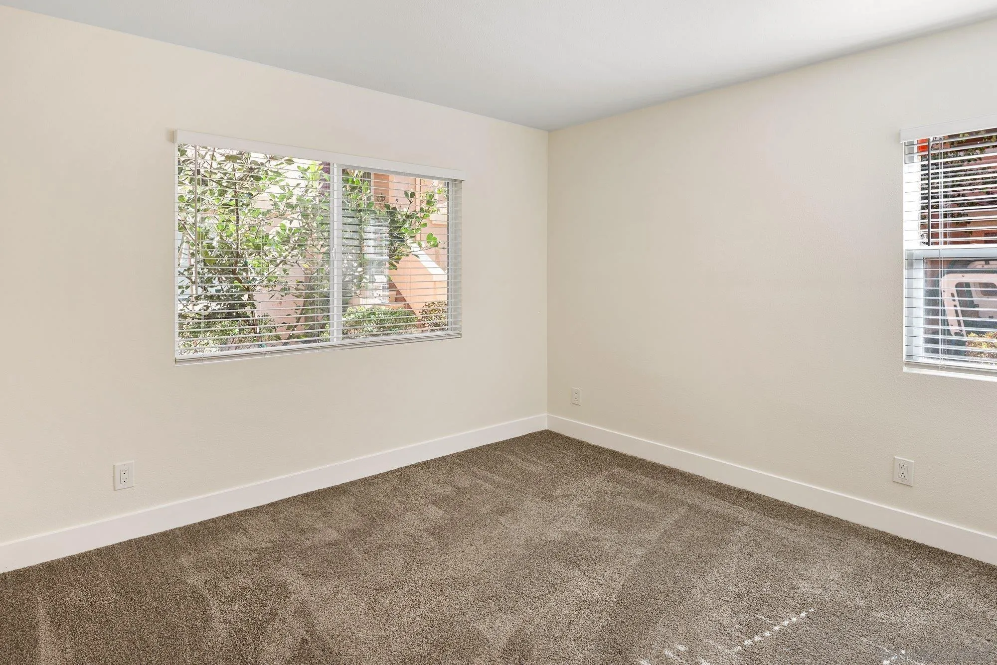 Photo #31: 260003183 Listing: Photo #31