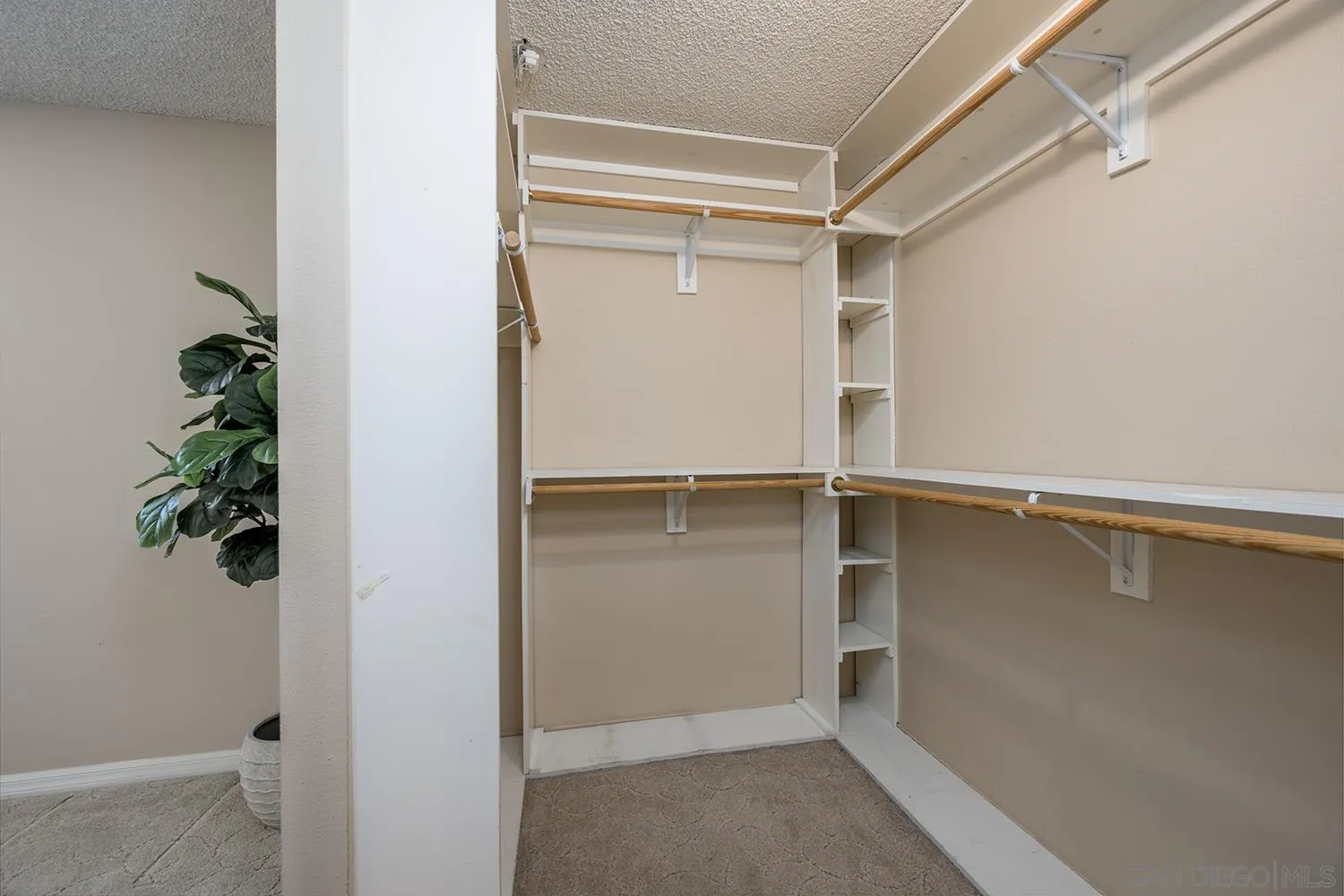 Photo #15: 260003187 Listing: Photo #15