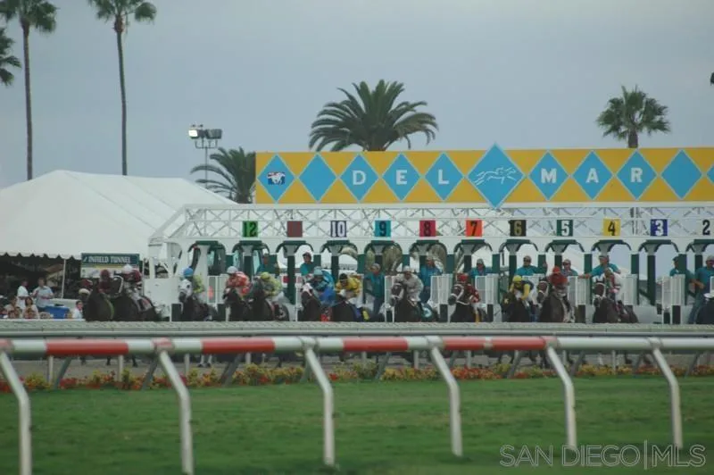 Photo #52: 260003267 Listing: Photo #52