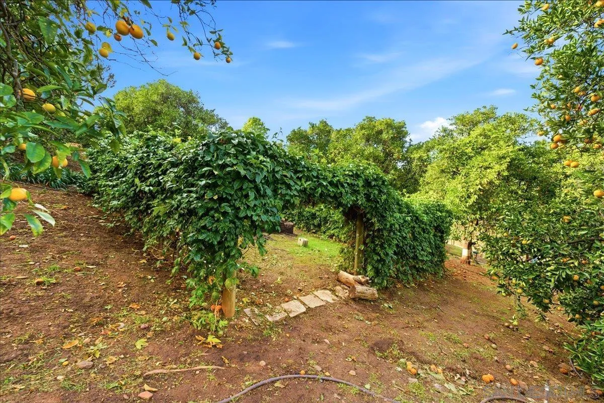 https://cdn.realtyfeed.com/cdn/127/260003761/68334ef545be295dc653f03390166719.webp