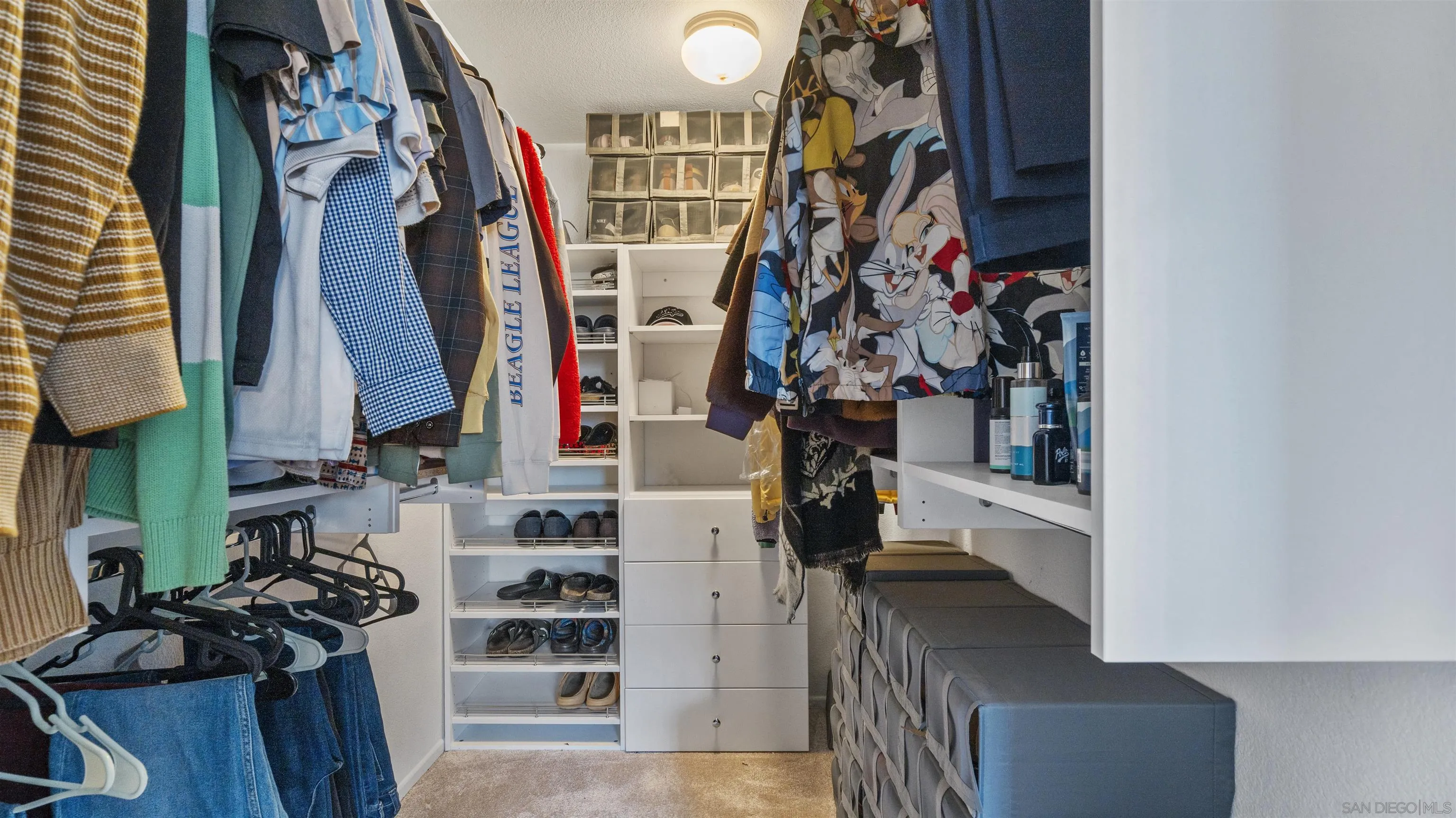 Photo #21: 260003778 Listing: Photo #21