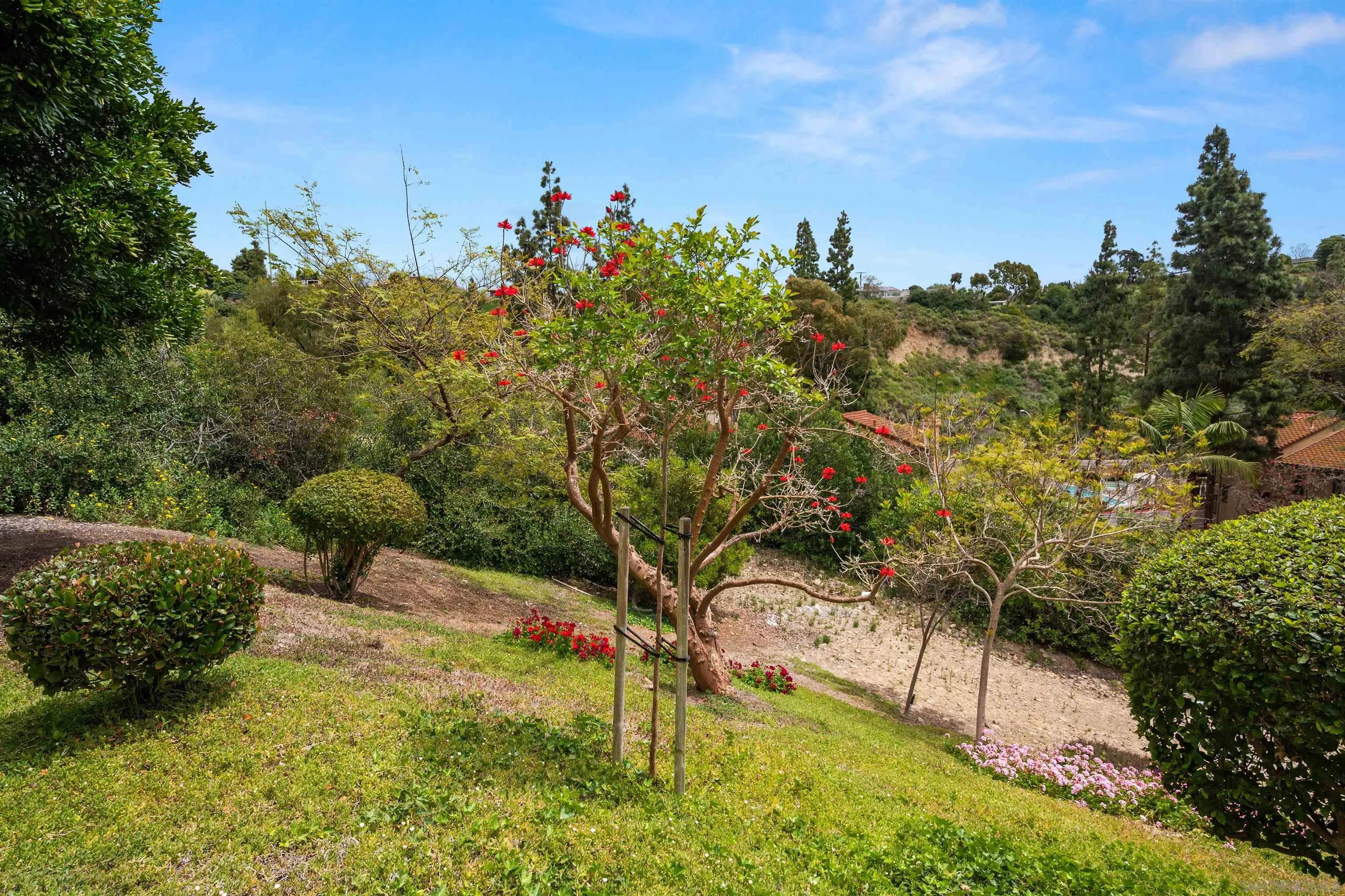 Photo #50: 260003867 Listing: Photo #50