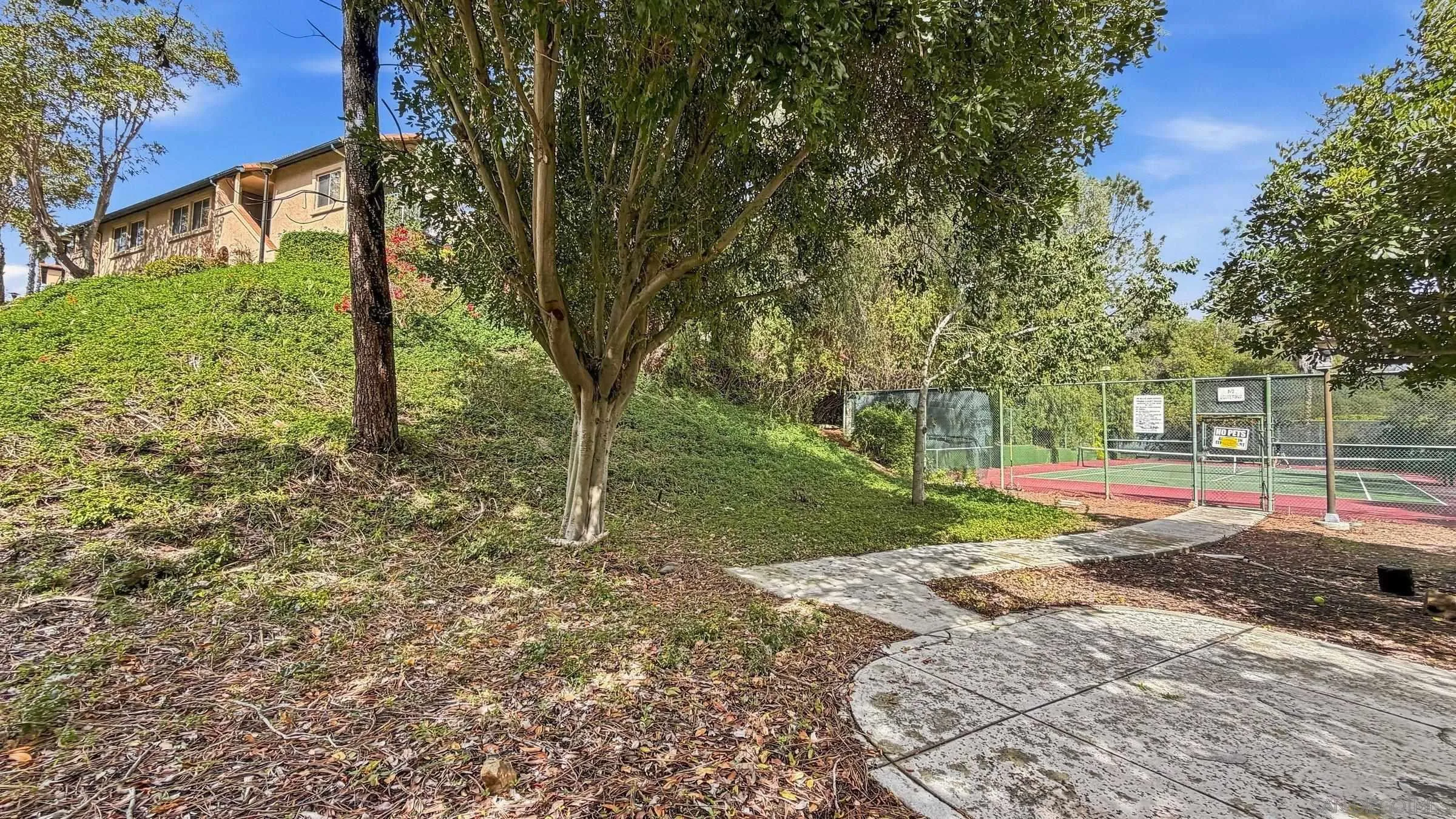 Photo #30: 260003901 Listing: Photo #30