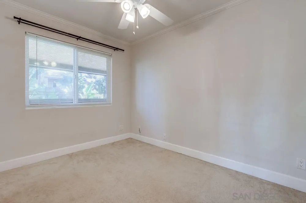 Photo #19: 260003907 Listing: Photo #19