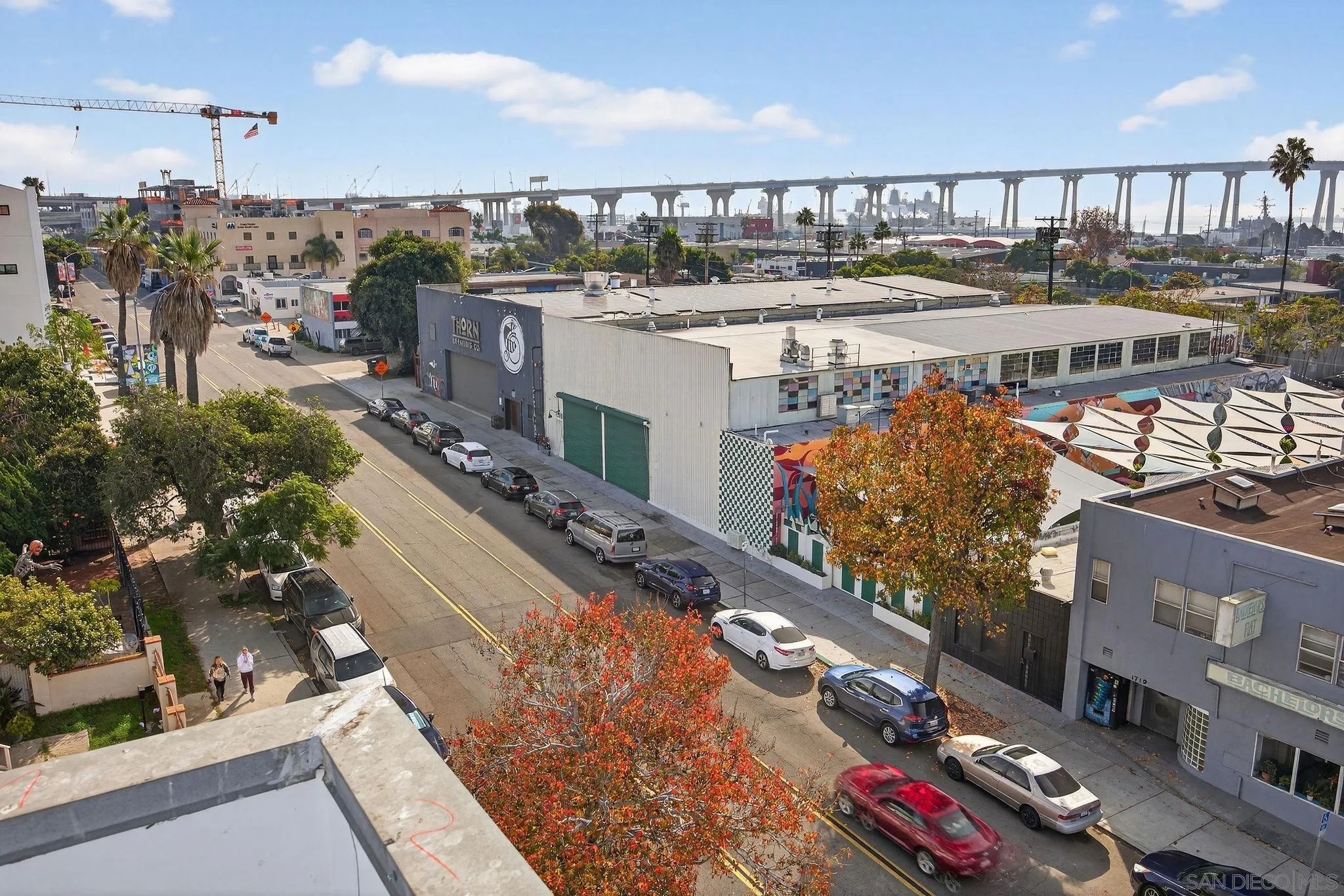 Photo #39: 260004018 Listing: Photo #39