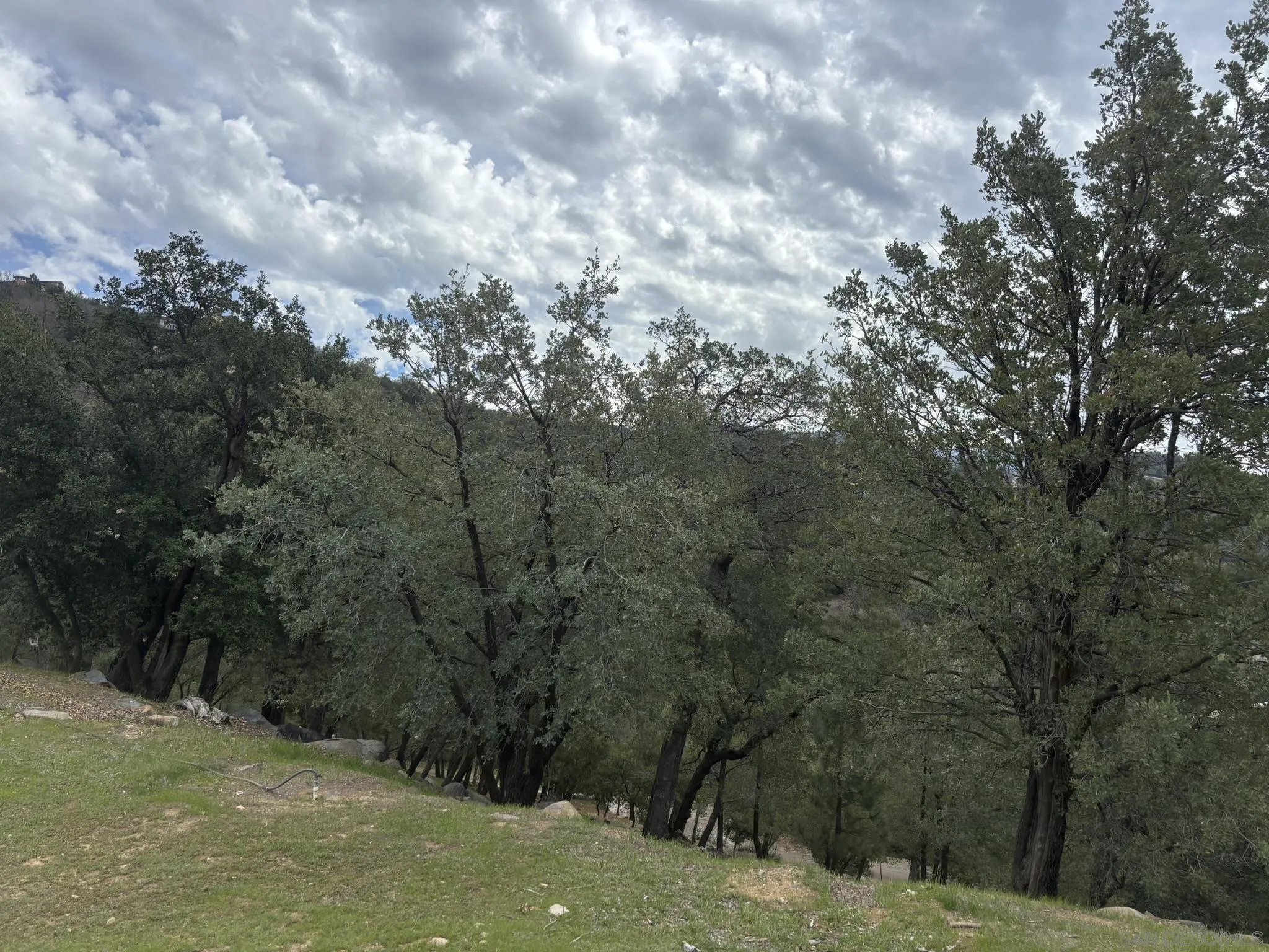 7317 Starlight Way Unit 0, Julian, CA 92036 - Photo 4 of 19, Julian, CA