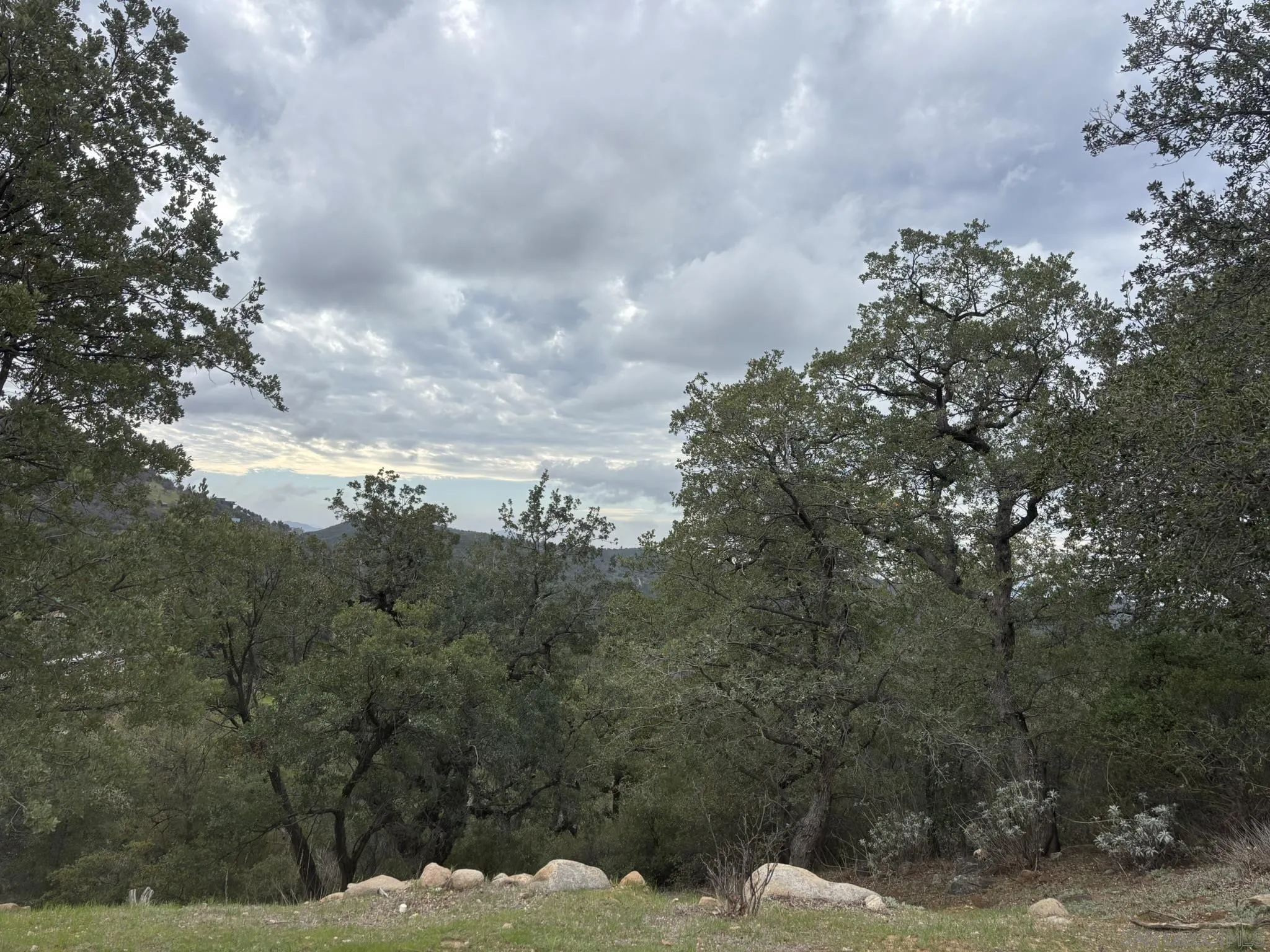 7317 Starlight Way Unit 0, Julian, CA 92036 - Photo 3 of 19, Julian, CA