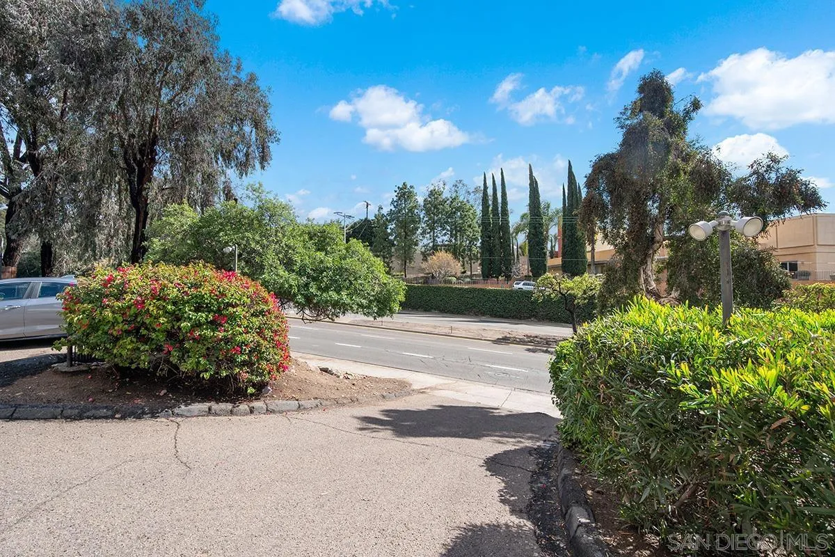 Photo #3: 260004151 Listing: Photo #3