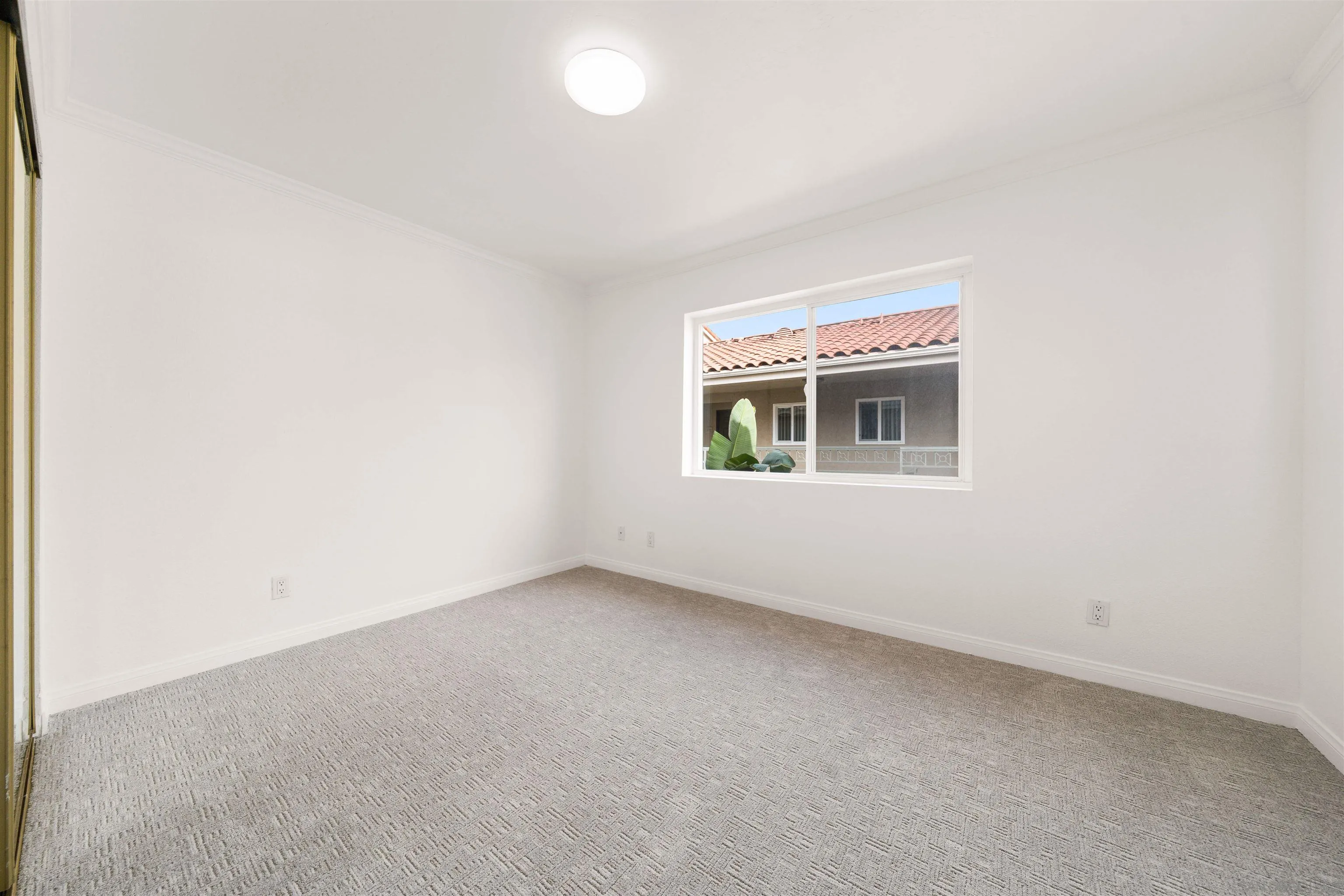 Photo #22: 260004154 Listing: Photo #22