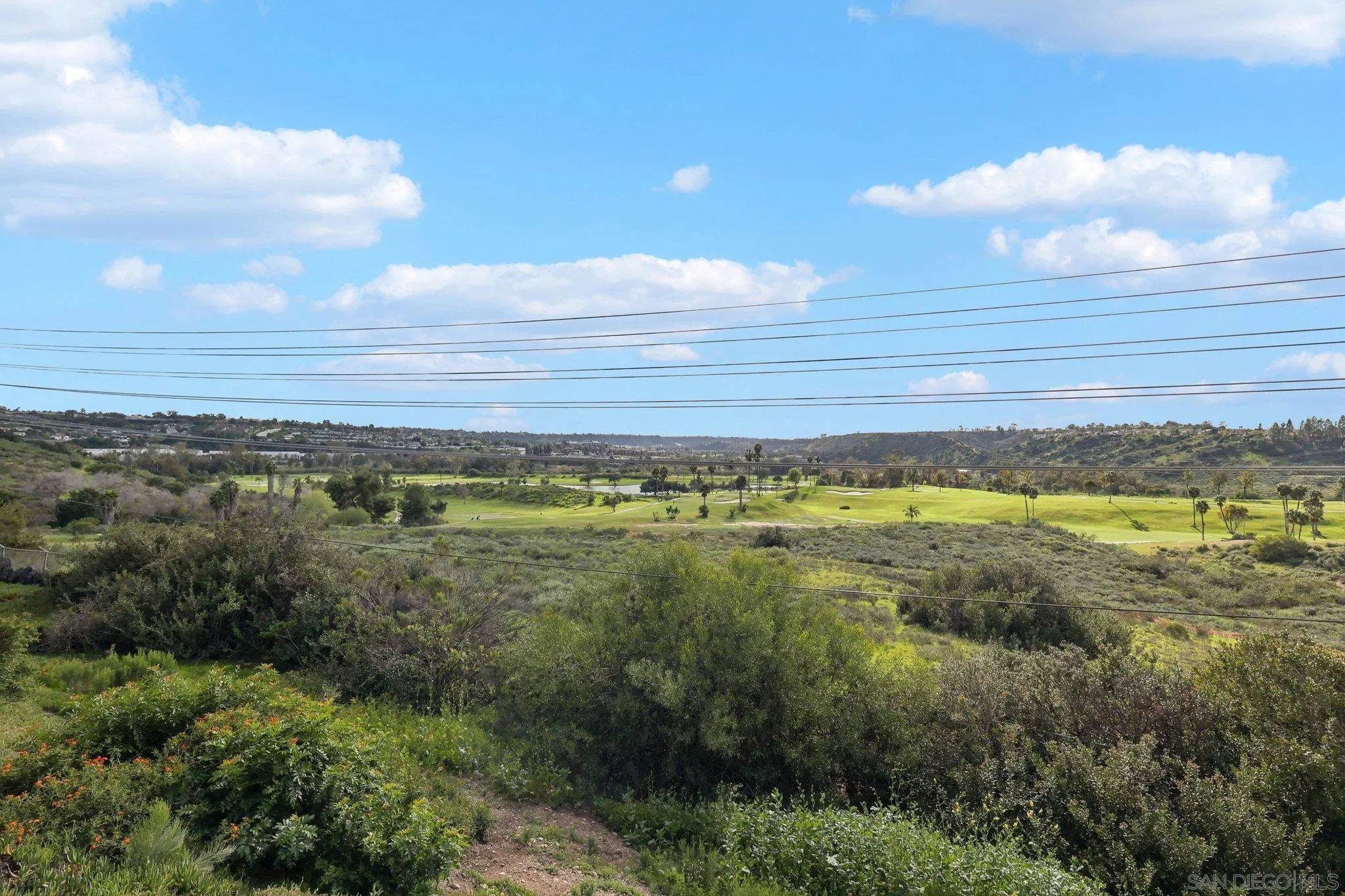 Photo #31: 260004161 Listing: Photo #31