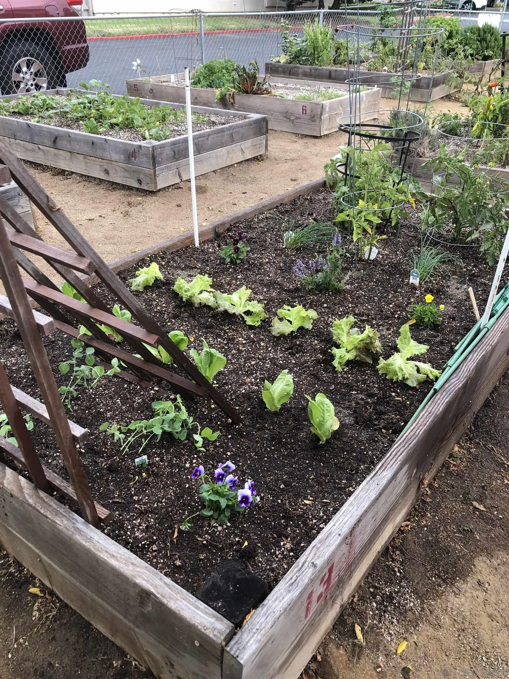 Photo #50: 260004164 Listing: Photo #50