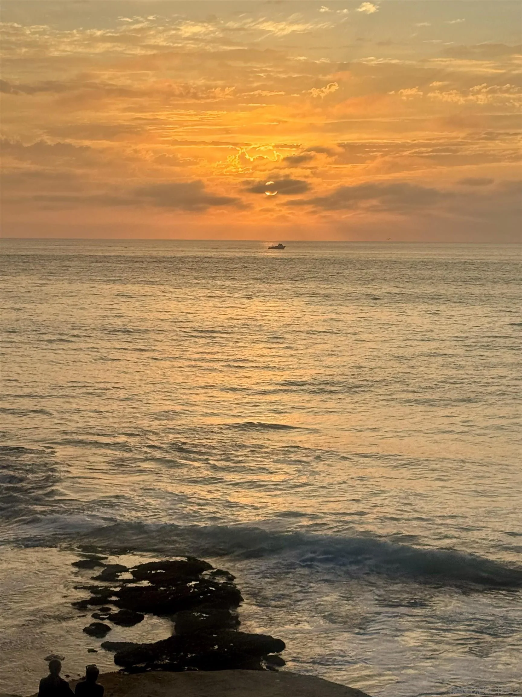 Photo #22: 260004201 Listing: Photo #22