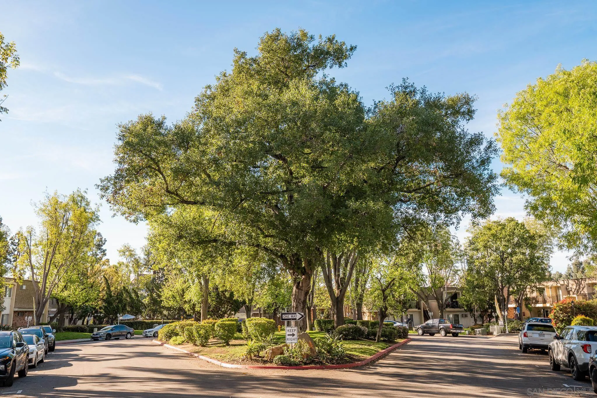 Photo #1: 260004243 Listing: Photo #1