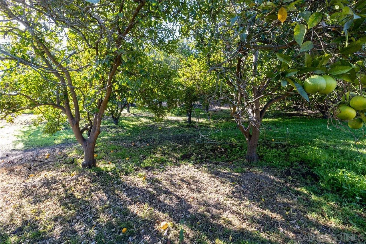 https://cdn.realtyfeed.com/cdn/127/260004466/ac510ade5449606a9c4b3d226d327e09.webp