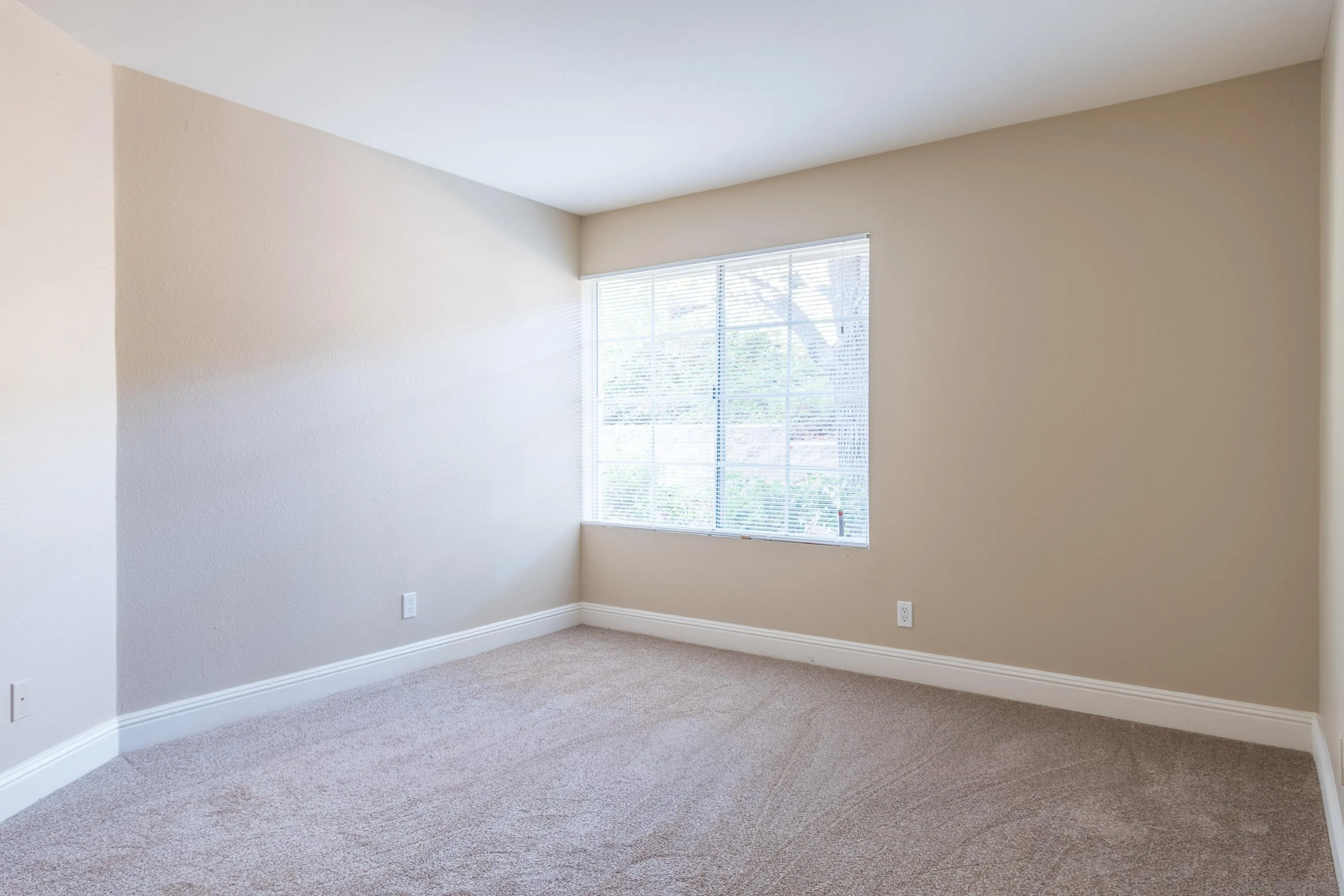 Photo #7: 260004487 Listing: Photo #7