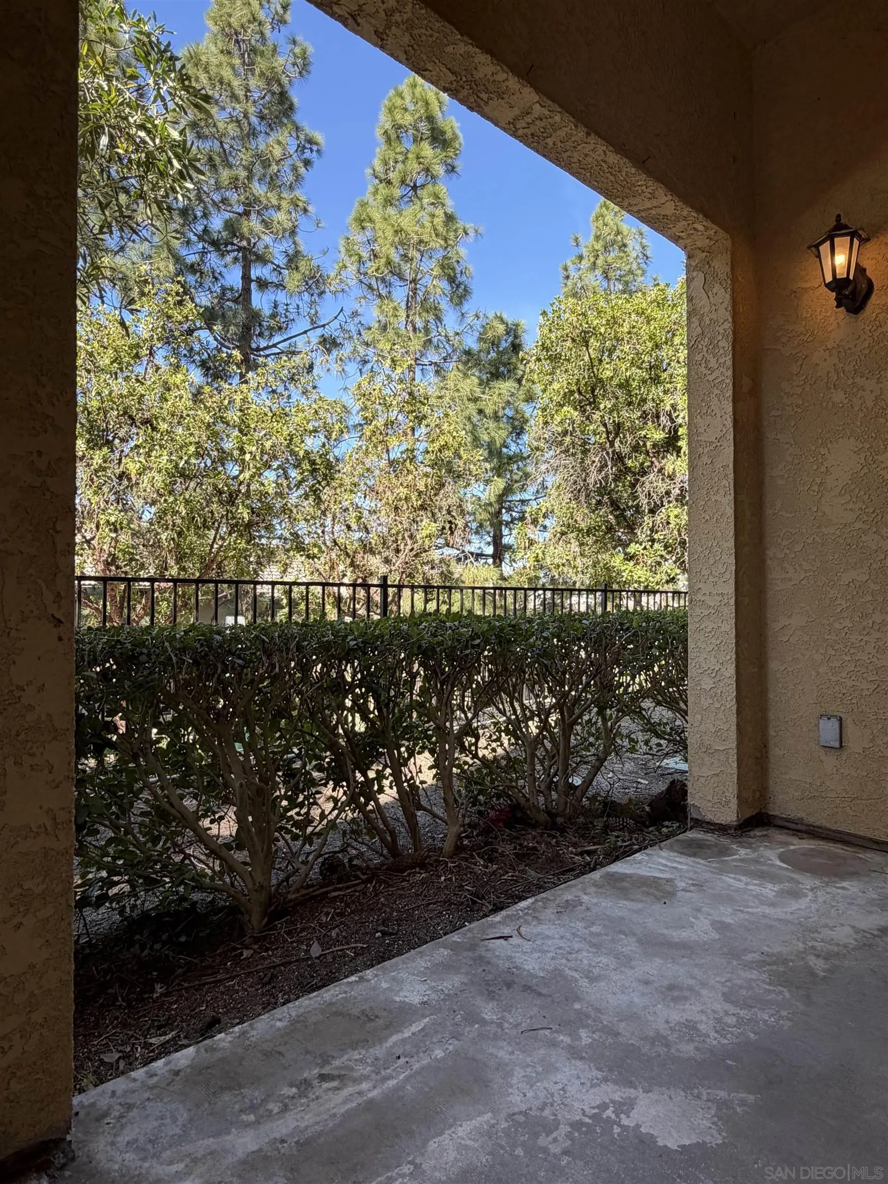 Photo #42: 260004624 Listing: Photo #42