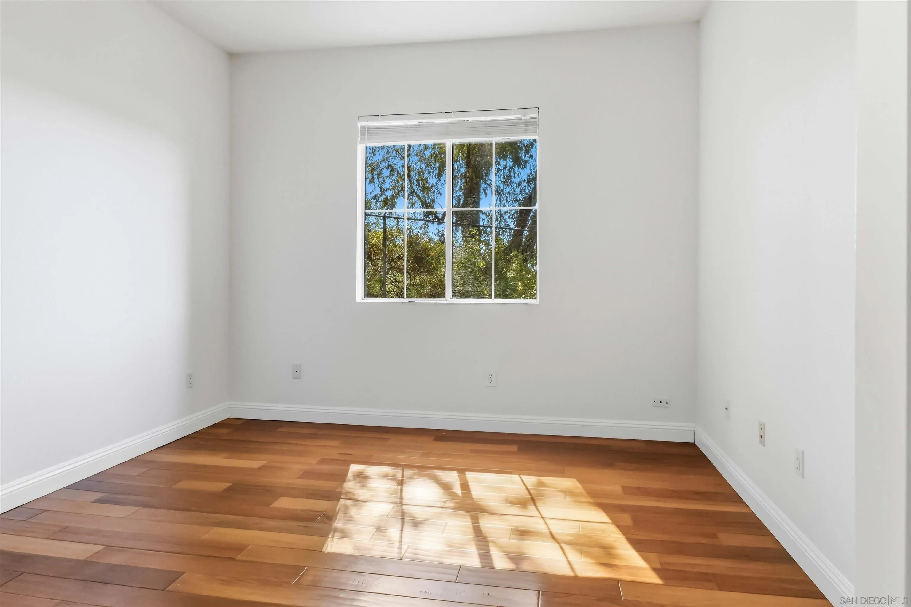 Photo #30: 260004624 Listing: Photo #30