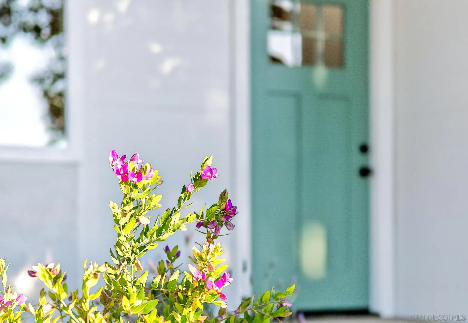 Photo #23: 260004655 Listing: Photo #23