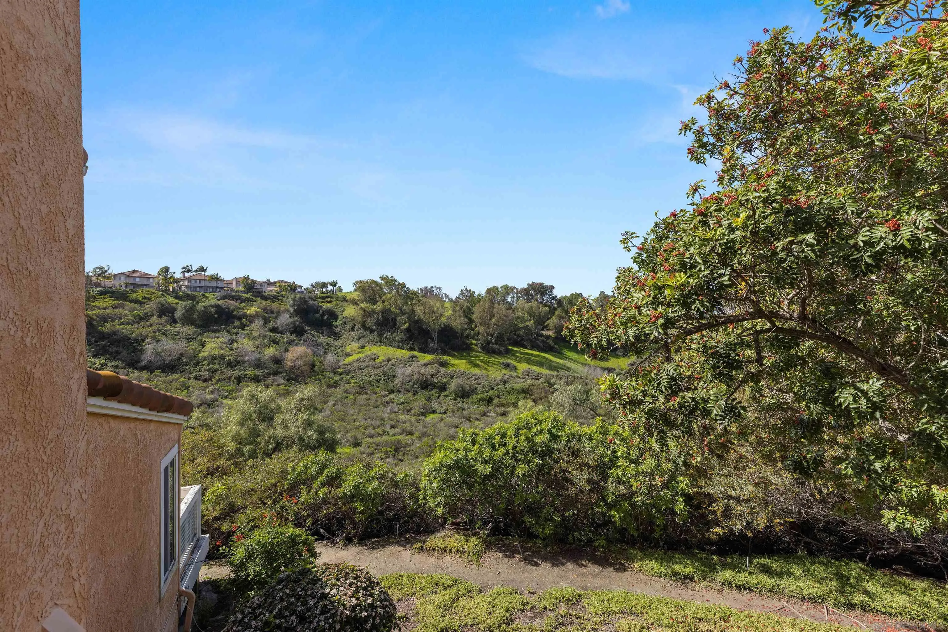 Photo #3: 260004675 Listing: Photo #3